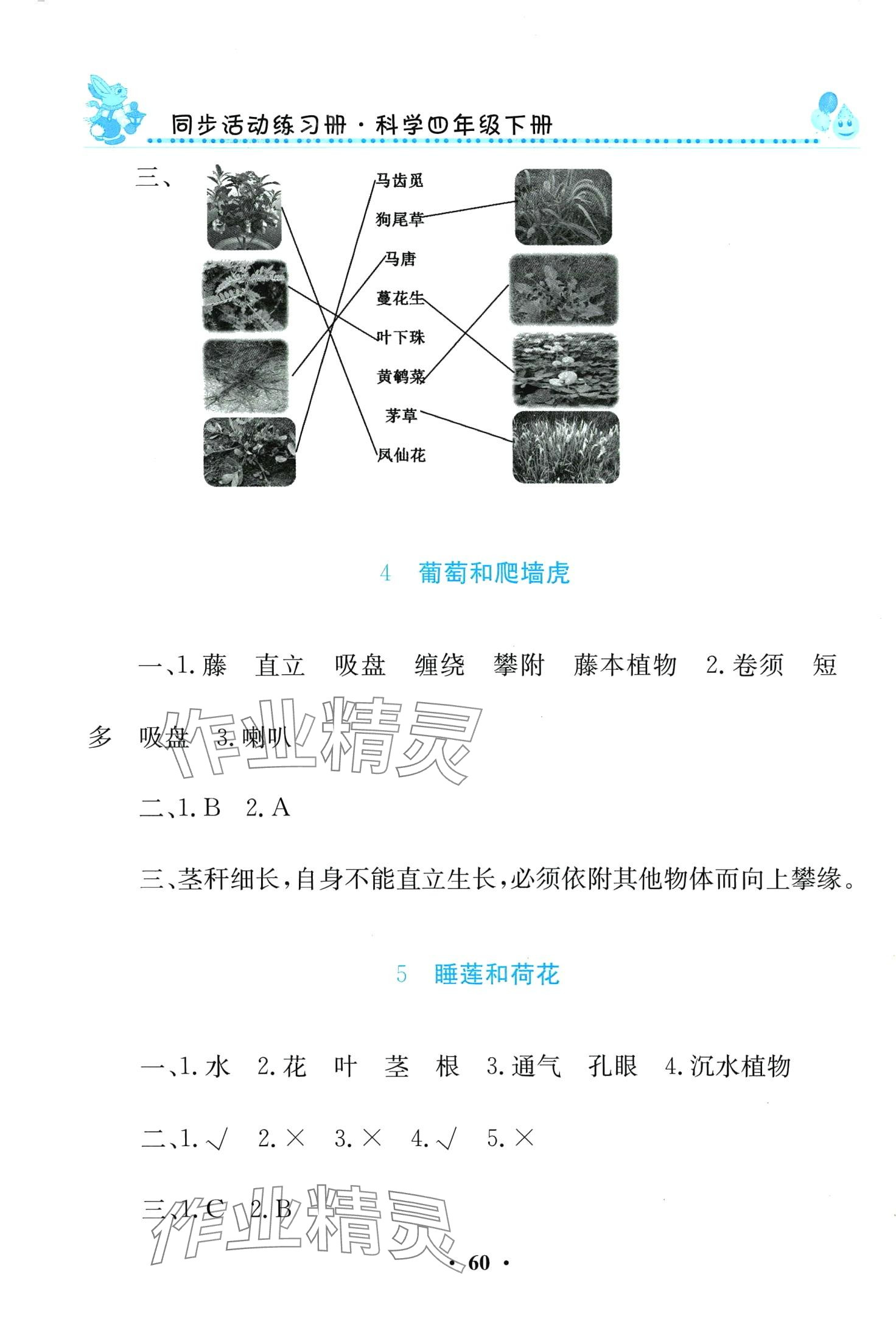 2024年同步活動練習冊四年級科學下冊科粵版 第2頁