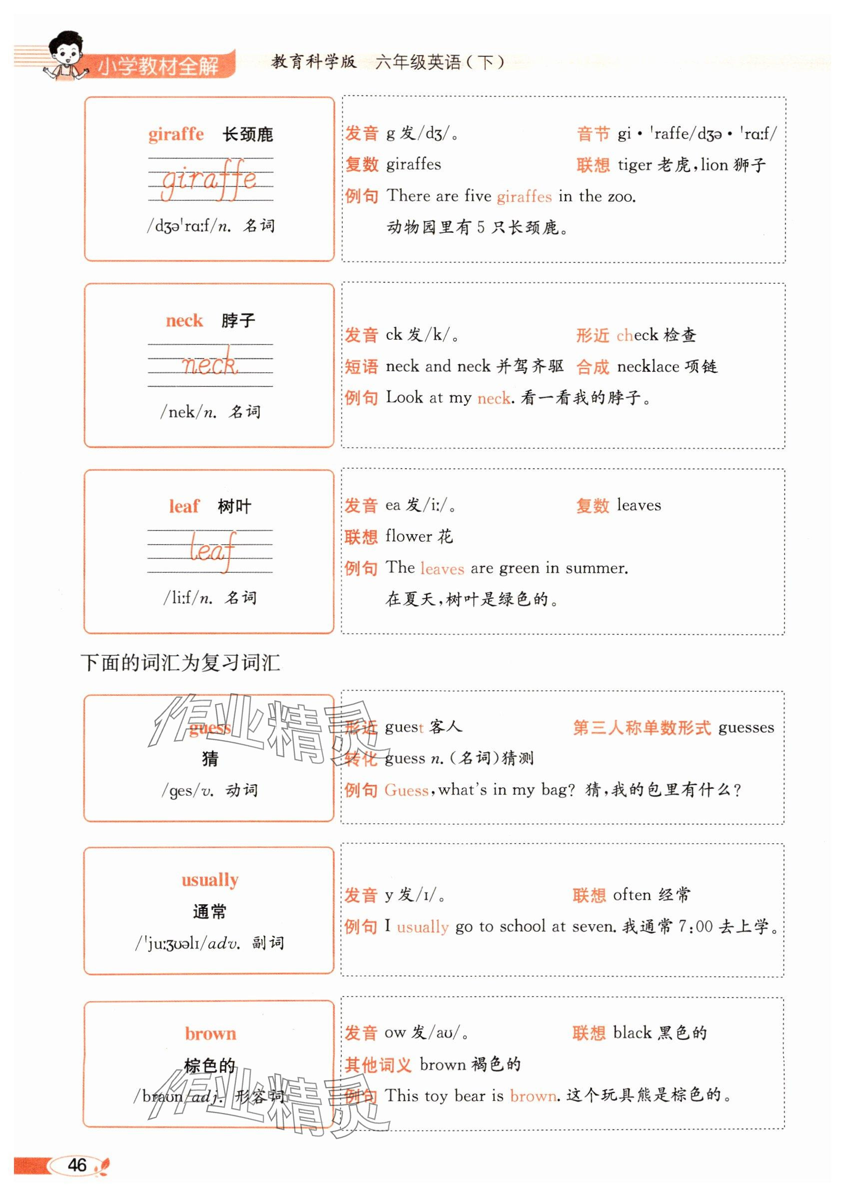 2025年教材課本六年級英語下冊教科版 參考答案第46頁