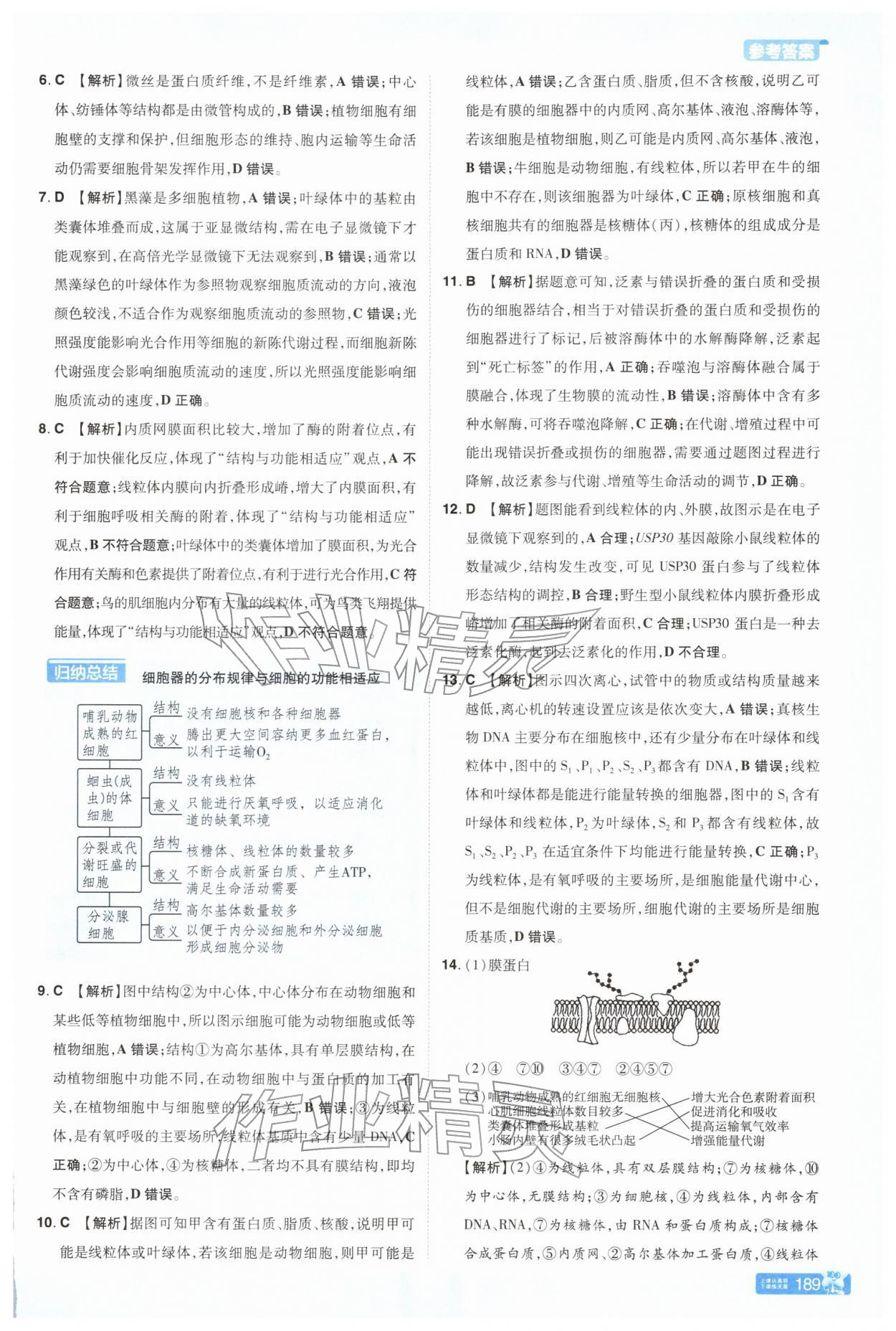 2025年教材幫高中生物必修1浙科版 參考答案第8頁