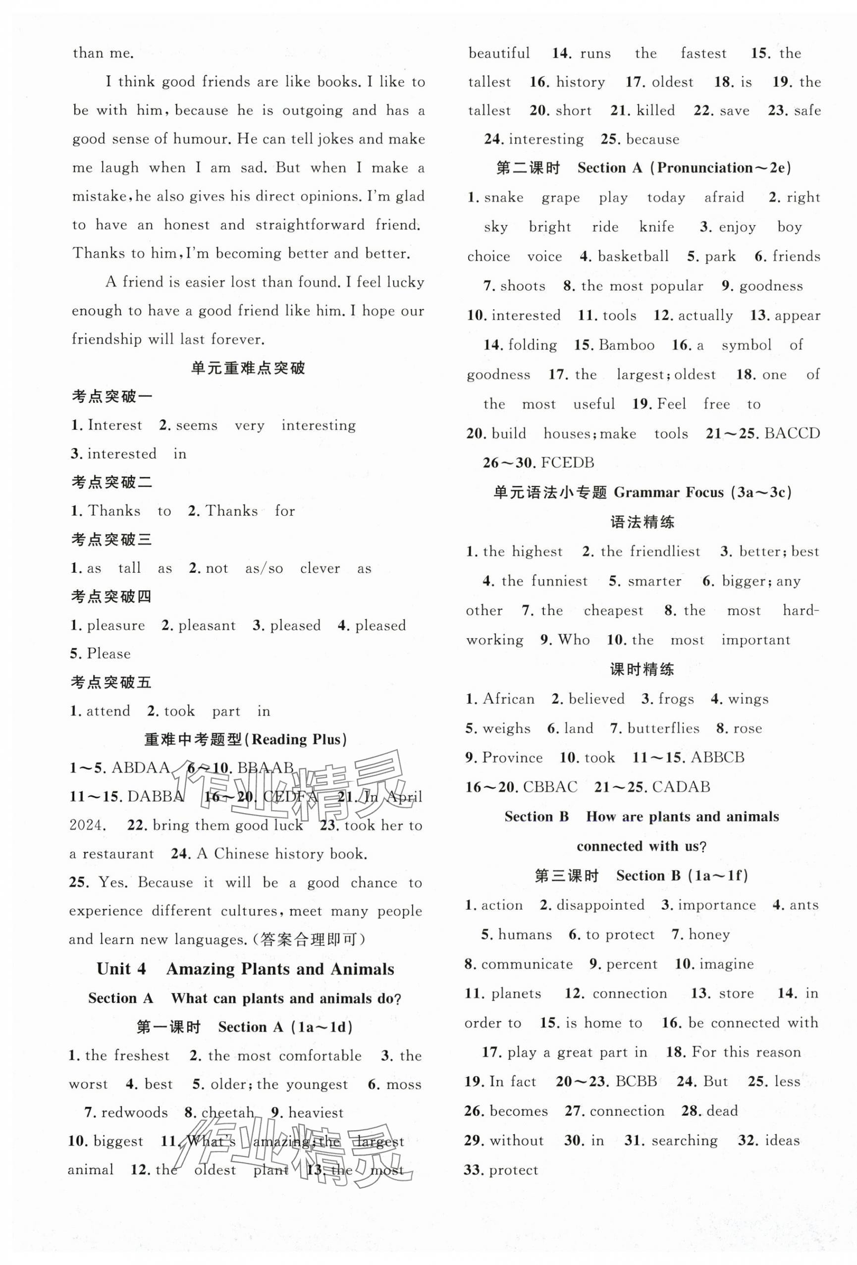 2025年名師學(xué)案八年級英語上冊人教版 第5頁