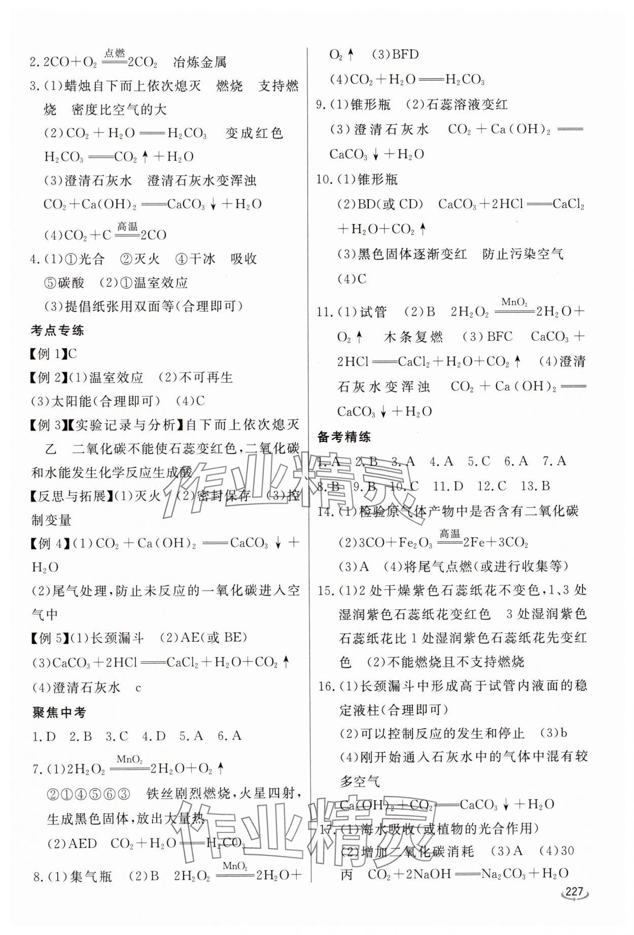 2025年初中學(xué)業(yè)水平考試備考指導(dǎo)化學(xué)中考臨沂專版&nbsp;參考答案第8頁