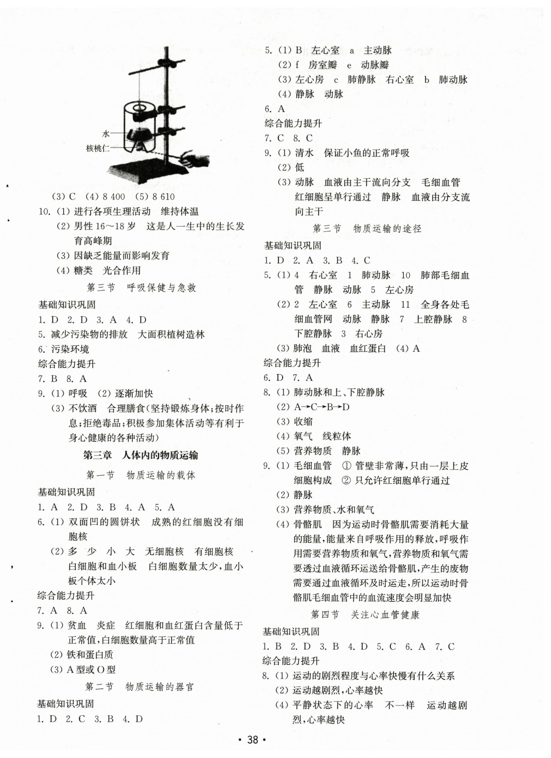 2024年初中基礎(chǔ)訓(xùn)練山東教育出版社七年級(jí)生物下冊(cè)濟(jì)南版 參考答案第2頁(yè)