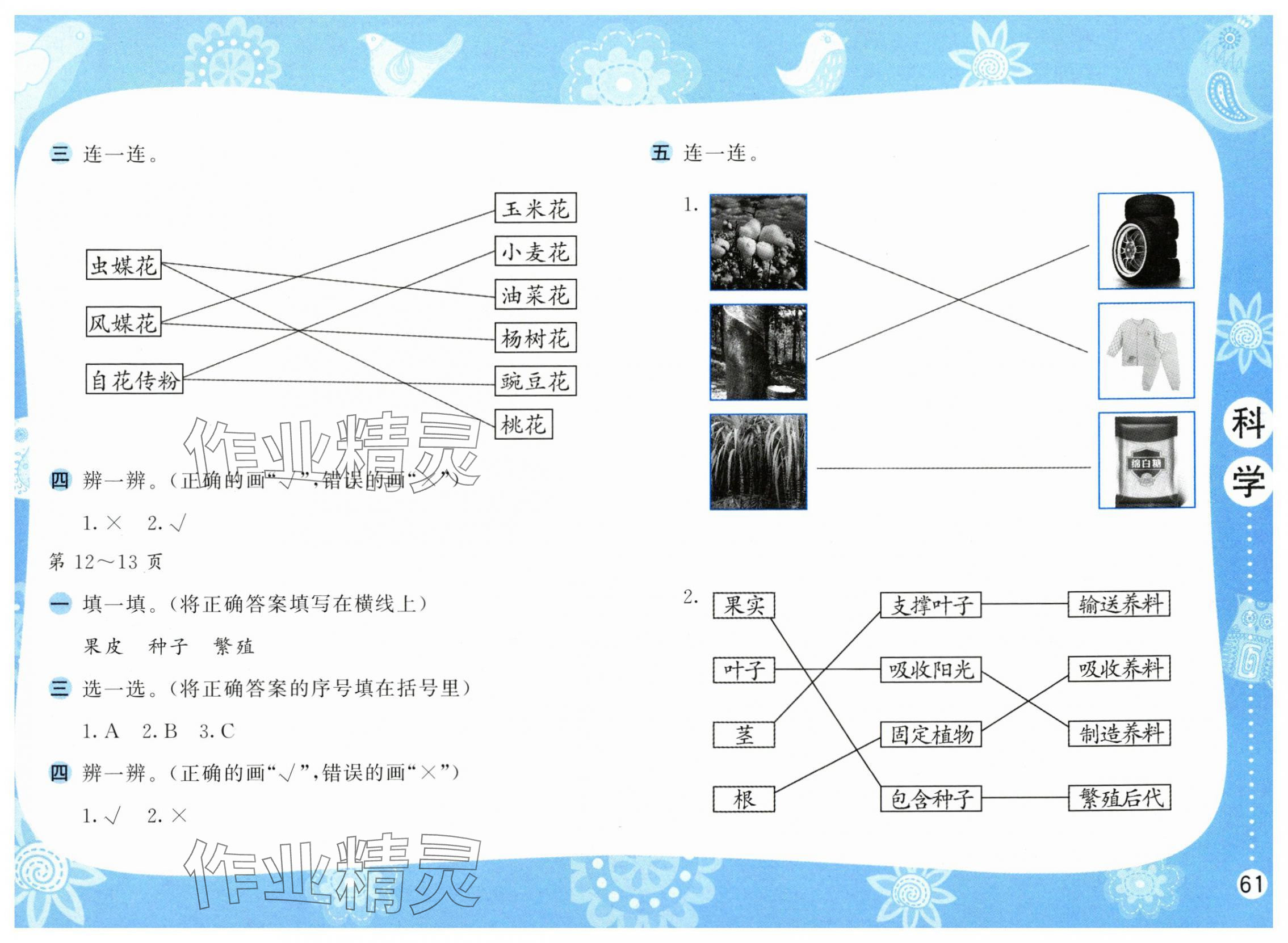 2025年暑假作業(yè)三年級科學(xué)蘇教版安徽少年兒童出版社 第3頁