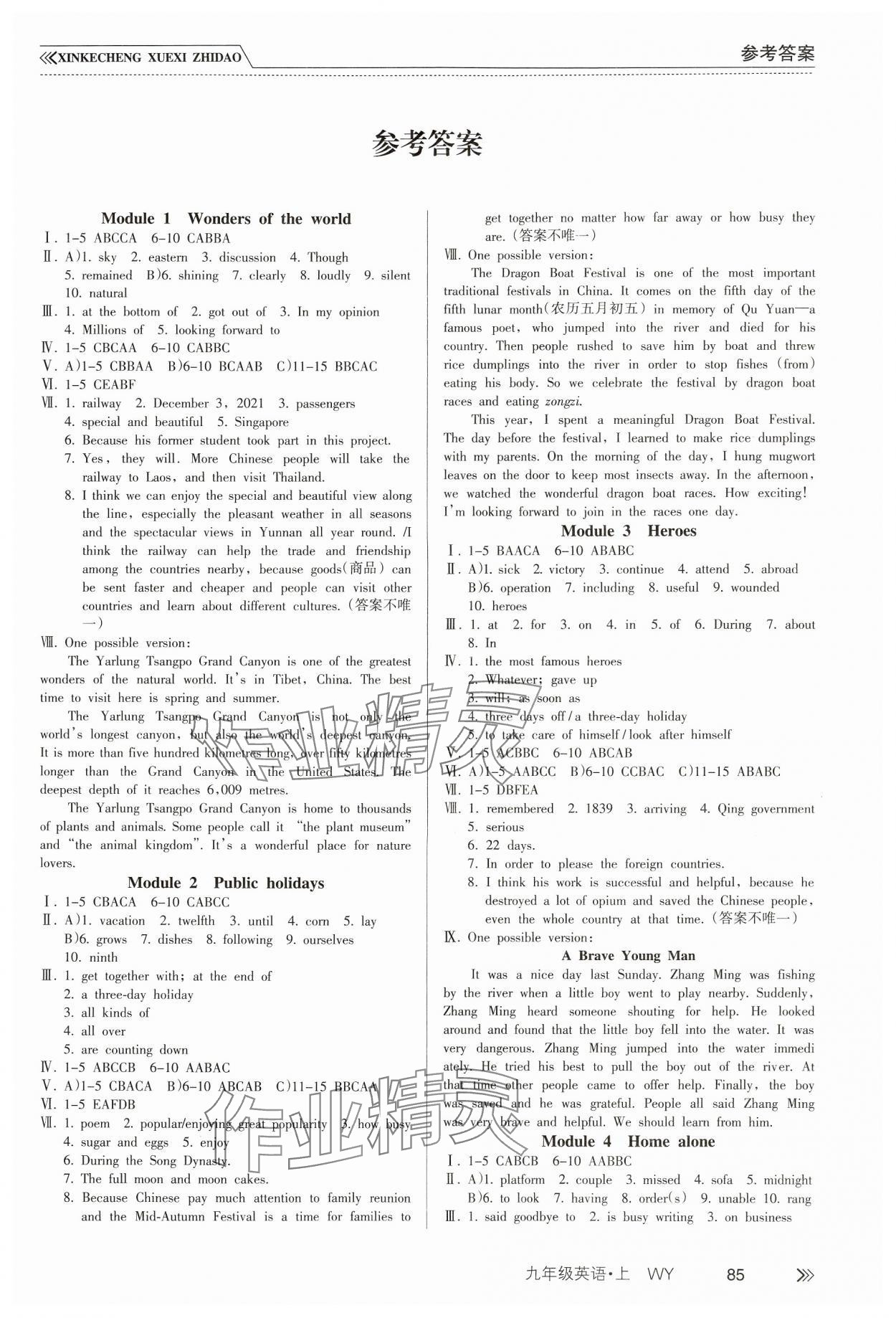 2024年新課程學(xué)習(xí)指導(dǎo)南方出版社九年級(jí)英語(yǔ)上冊(cè)外研版 第1頁(yè)