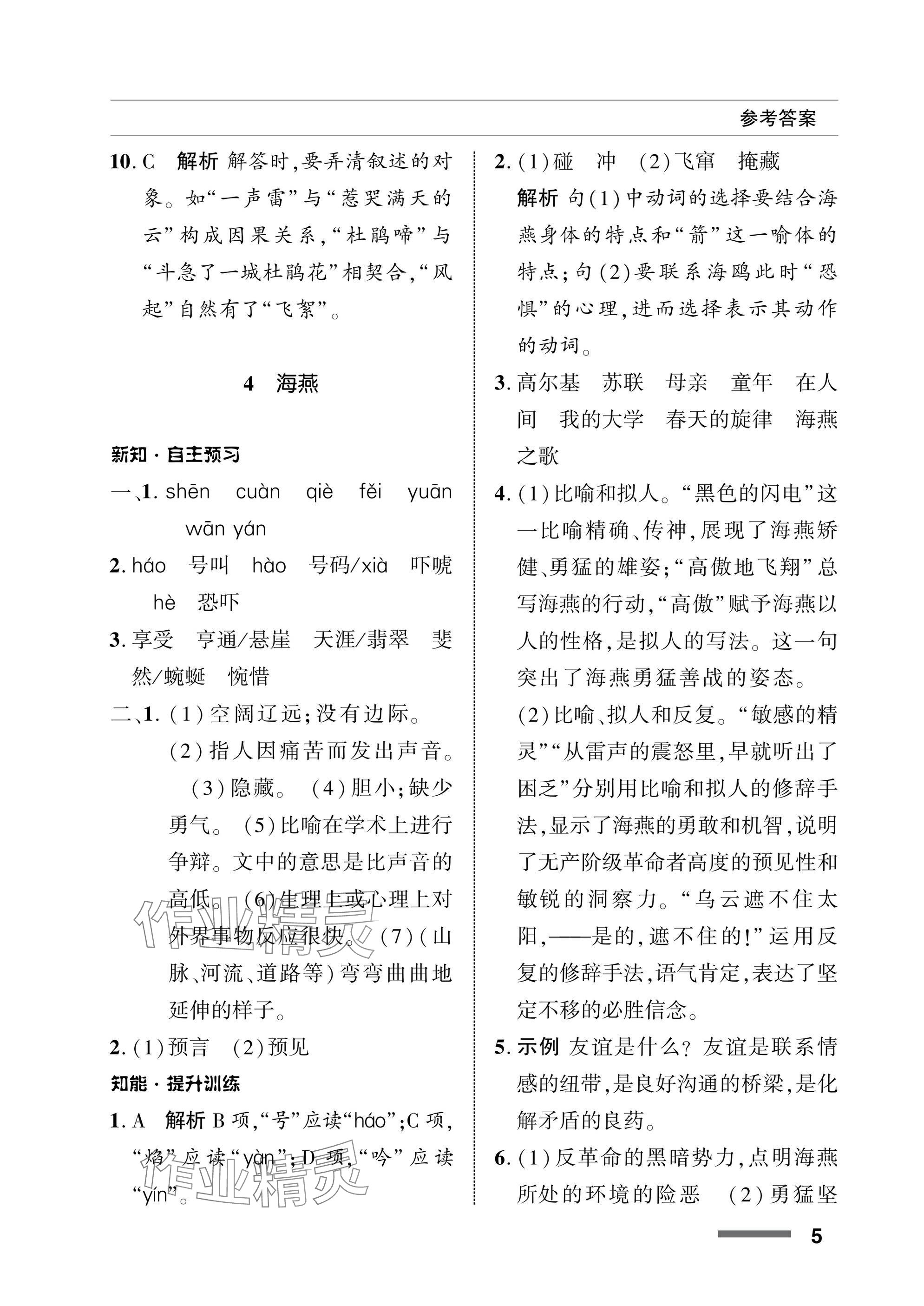 2025年配套綜合練習(xí)甘肅九年級語文下冊人教版 參考答案第5頁