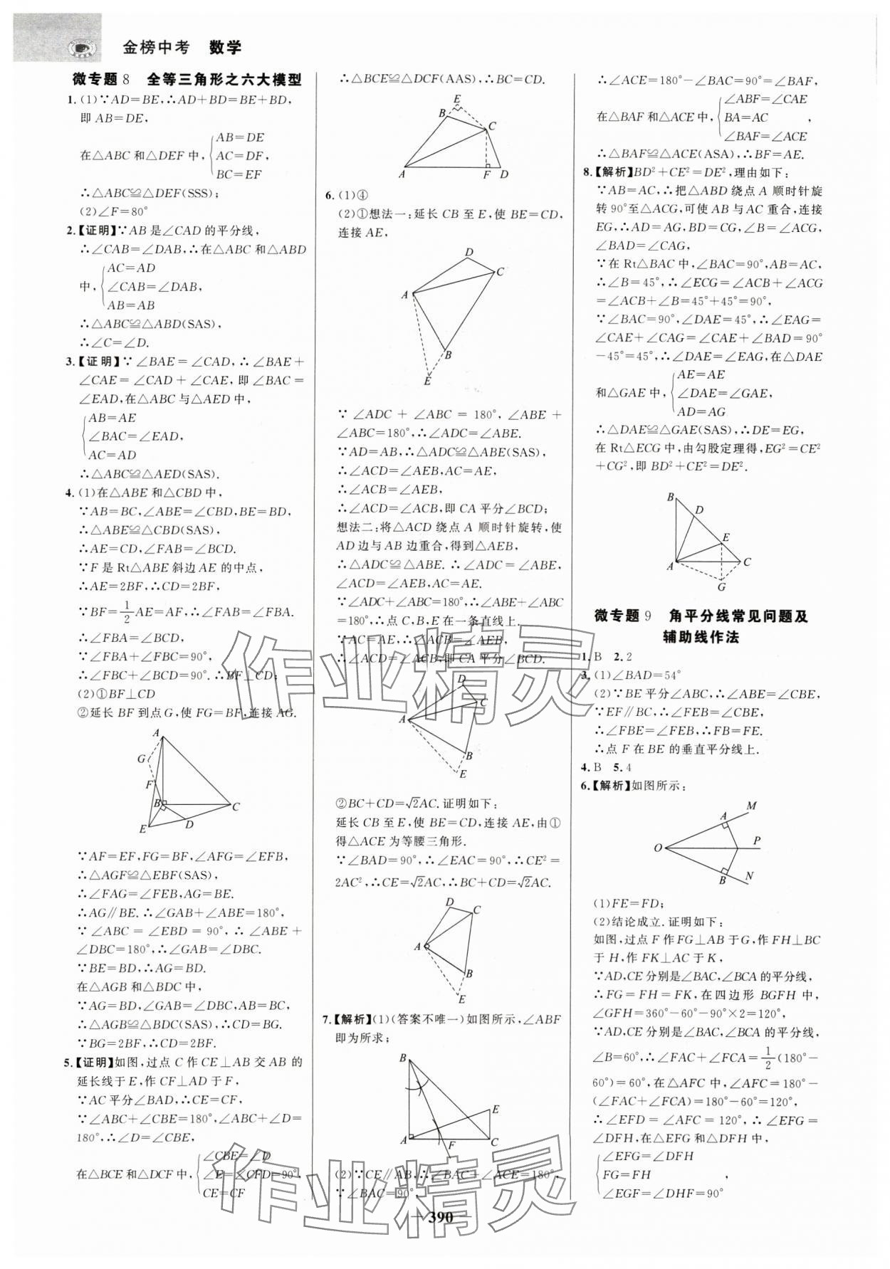 2025年世紀(jì)金榜金榜中考數(shù)學(xué)廣西專版 參考答案第9頁