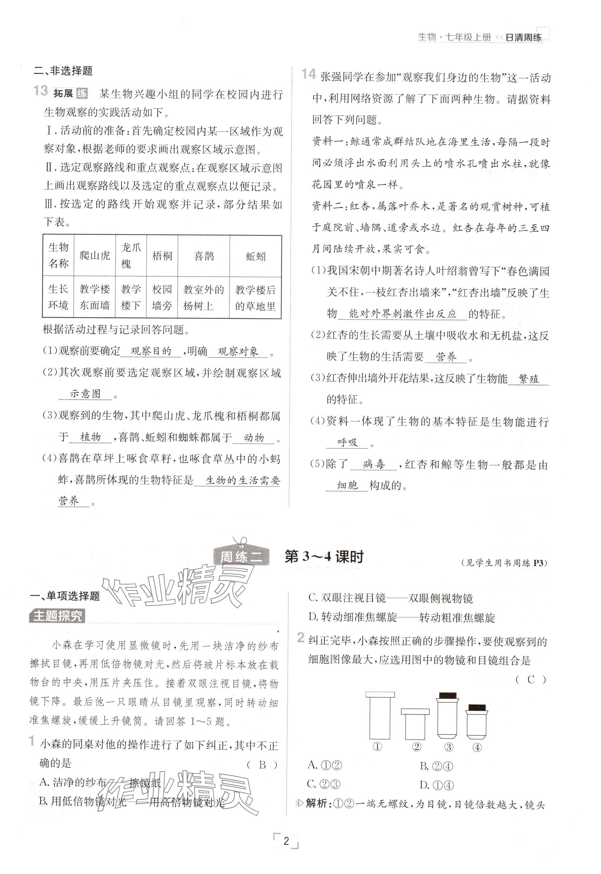 2024年日清周練七年級(jí)生物上冊人教版 參考答案第2頁