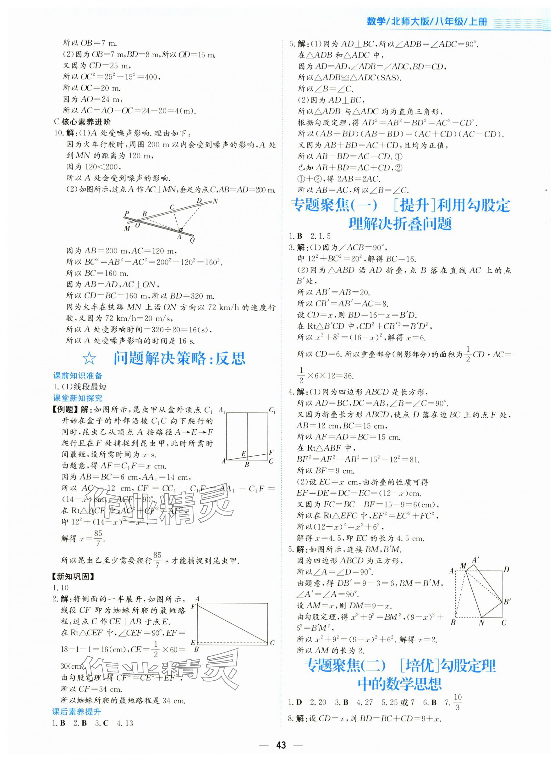 2025年新編基礎訓練八年級數學上冊北師大版 第3頁