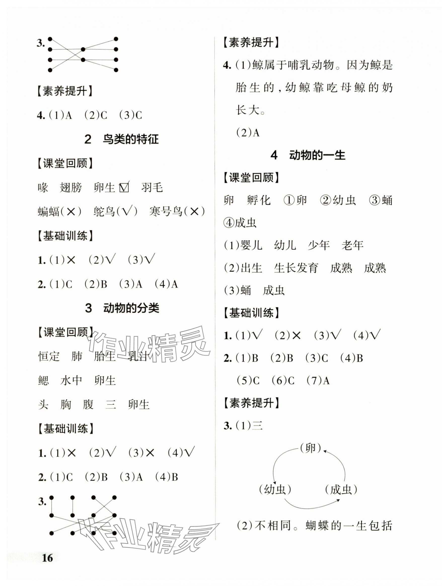 2024年小學(xué)學(xué)霸作業(yè)本三年級(jí)科學(xué)上冊大象版河南專版 參考答案第3頁