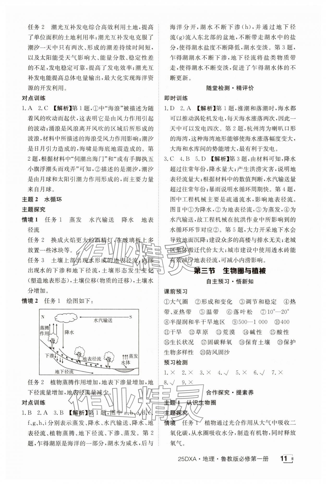 2024年金太陽導學案高中地理必修第一冊魯教版 參考答案第11頁