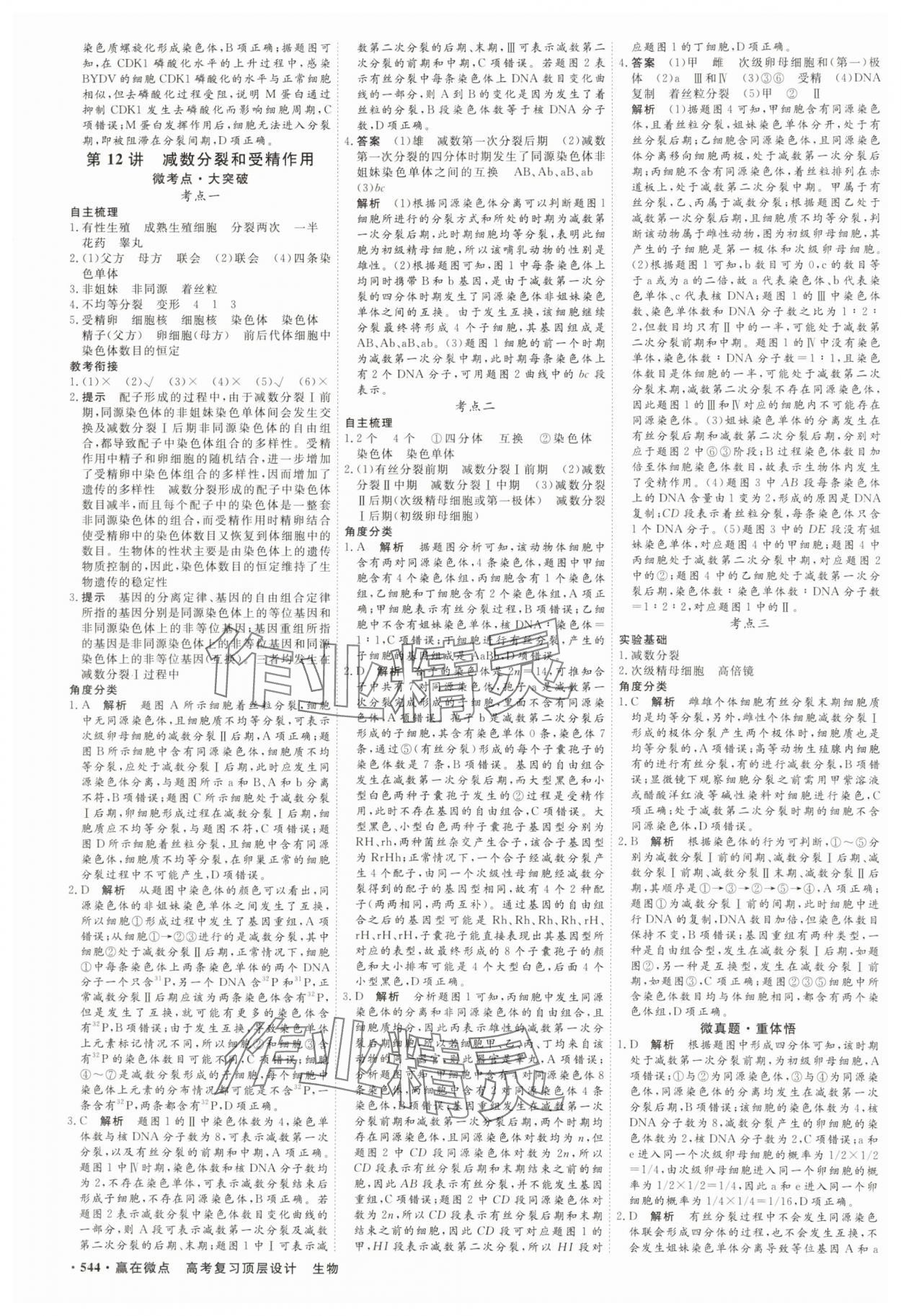 2025年贏在微點高中生物 參考答案第13頁