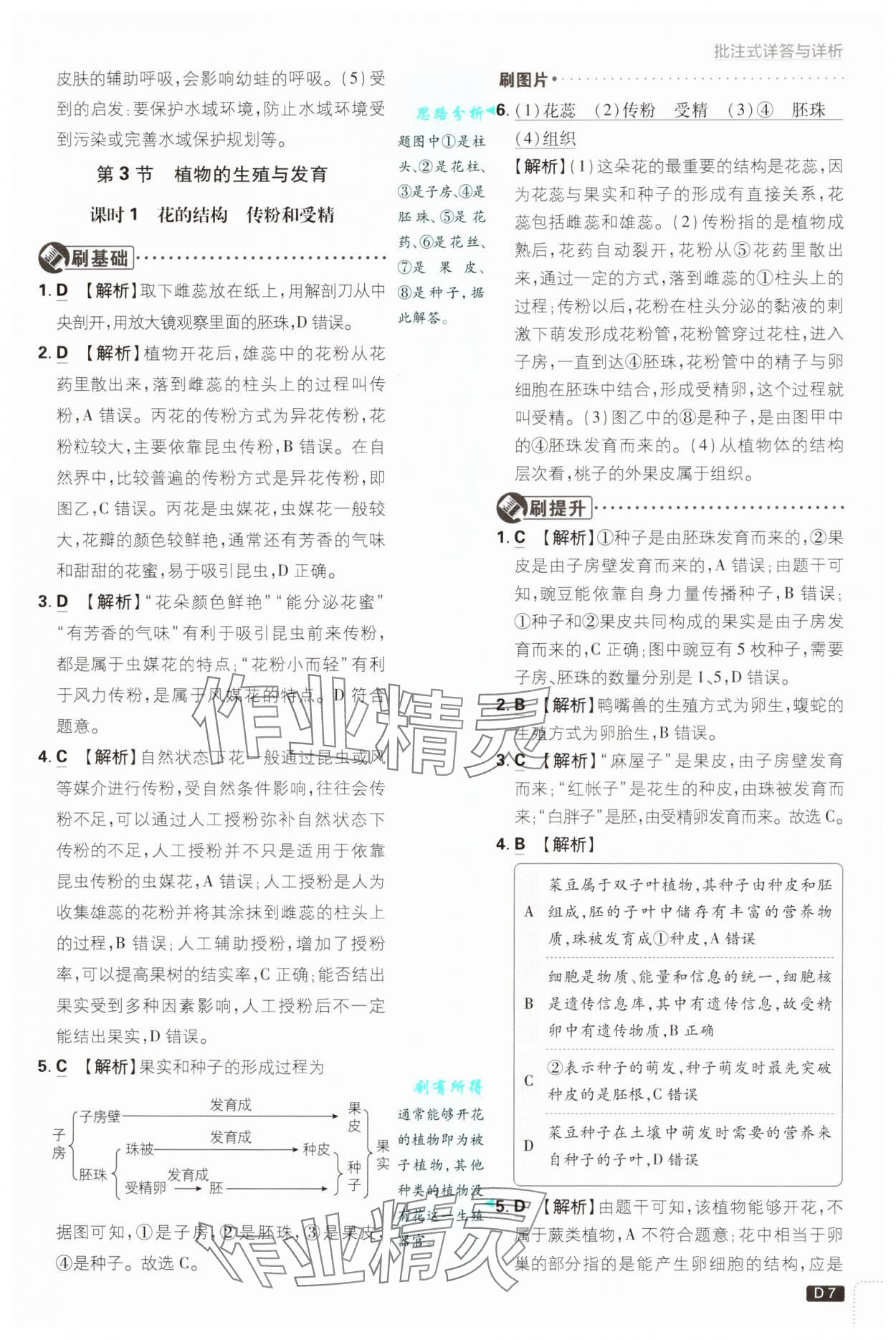 2025年初中必刷題七年級科學(xué)下冊浙教版浙江專版 參考答案第7頁