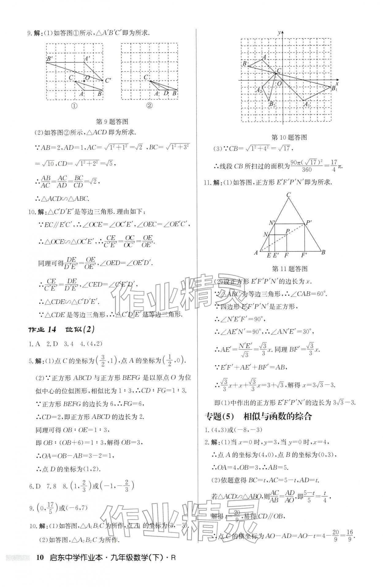 2026年启东中学作业本九年级数学下册人教版&nbsp;第10页