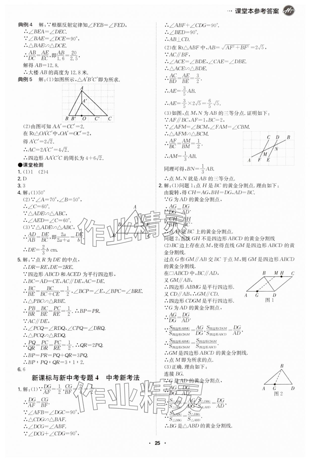 2024年学霸智慧课堂九年级数学全一册北师大版 第25页