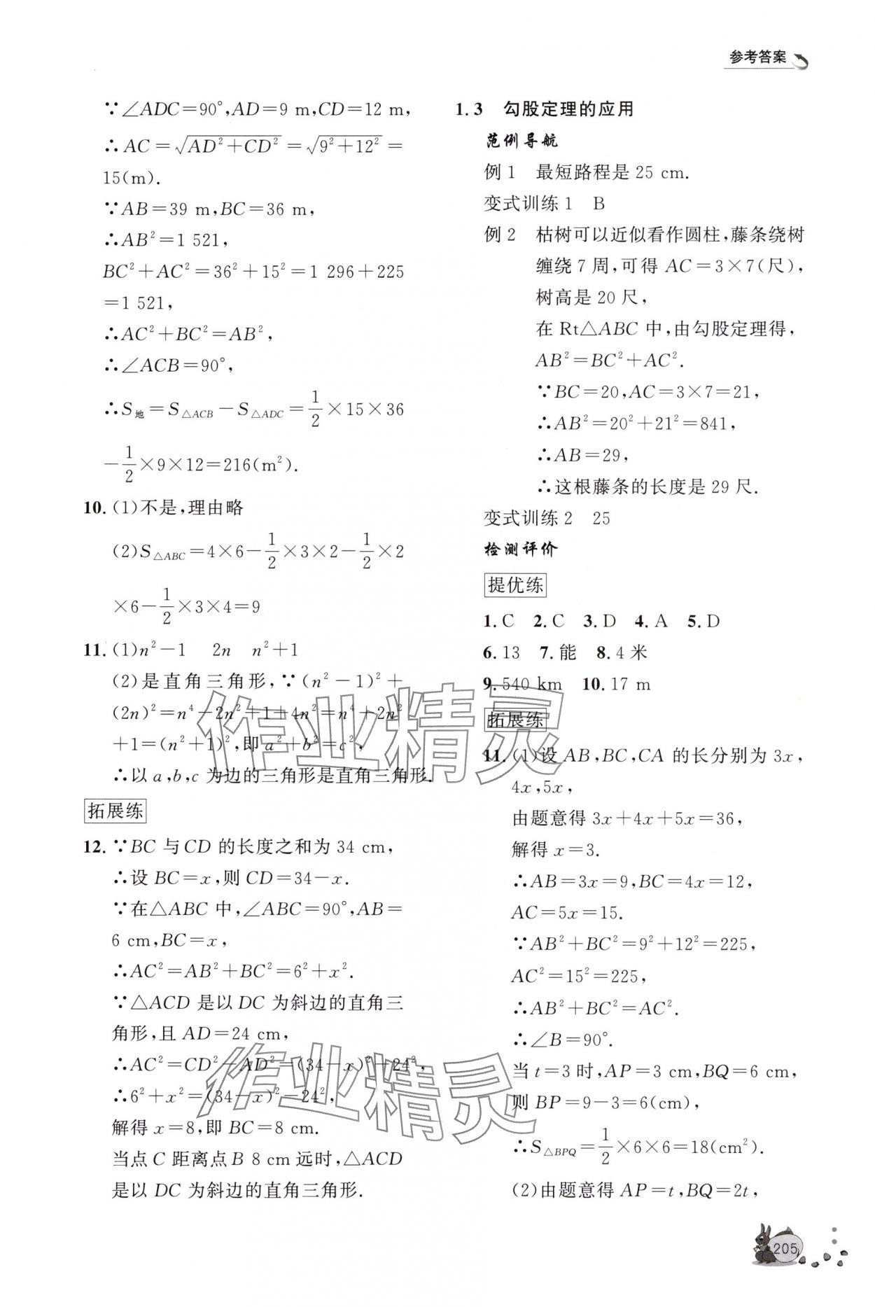 2025年新課程助學叢書八年級數學上冊北師大版 第3頁