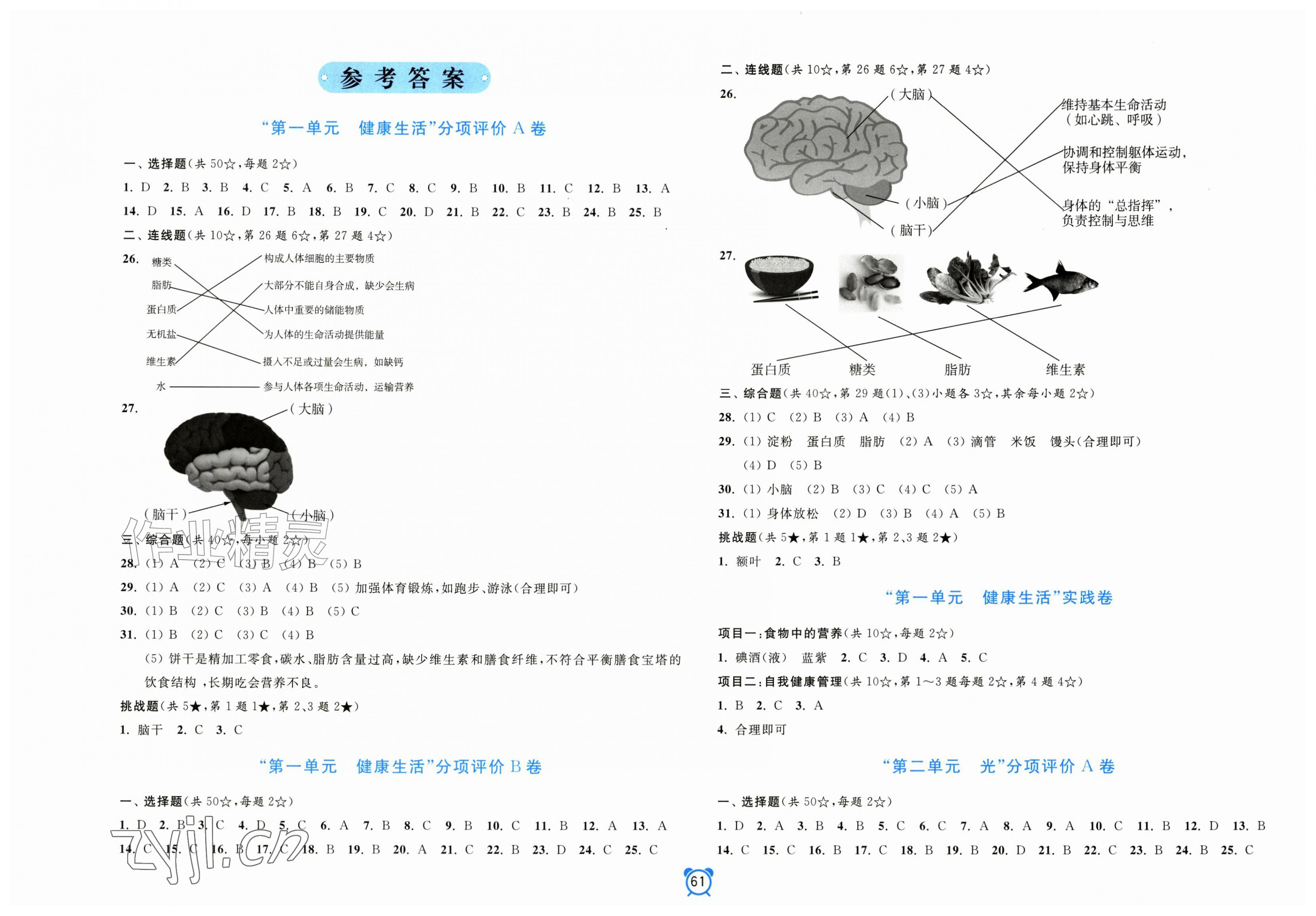 2026年单元加期末分项评价卷六年级科学上册教科版&nbsp;第1页
