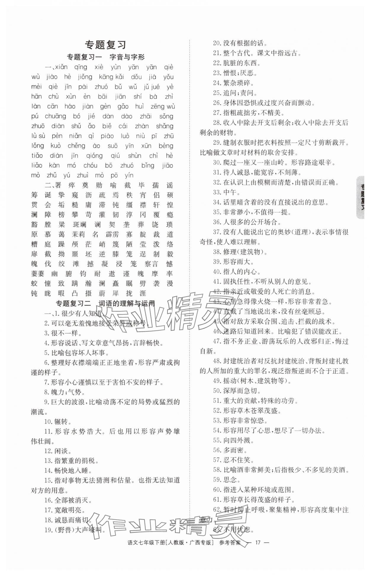2025年全效學(xué)習(xí)同步學(xué)練測七年級語文下冊人教版 第17頁