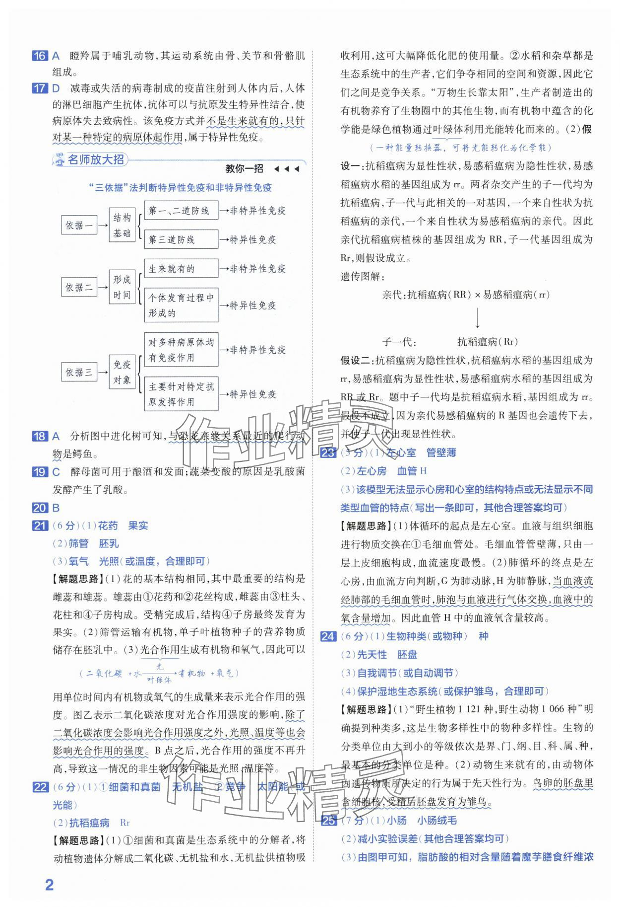 2024年金考卷45套汇编生物河南专版 第2页