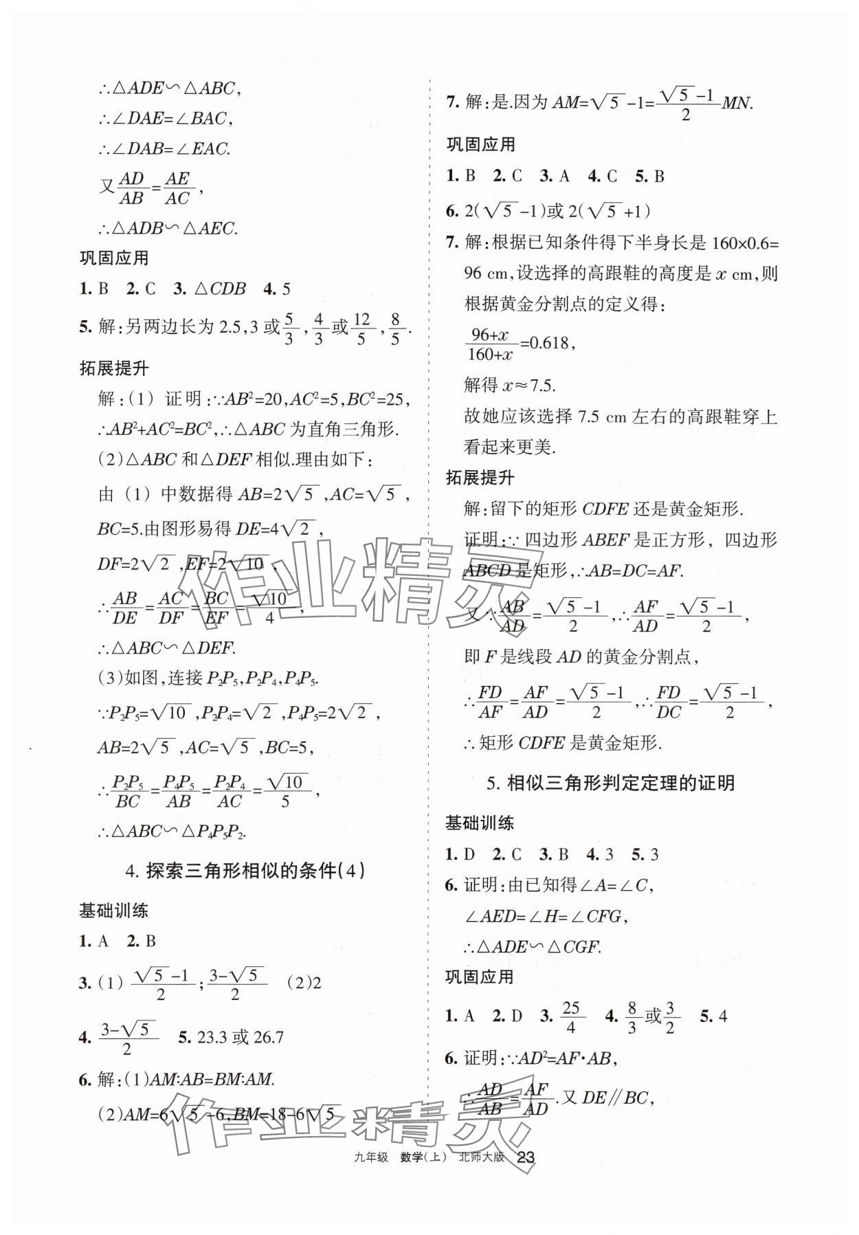 2024年学习之友九年级数学上册北师大版 参考答案第23页