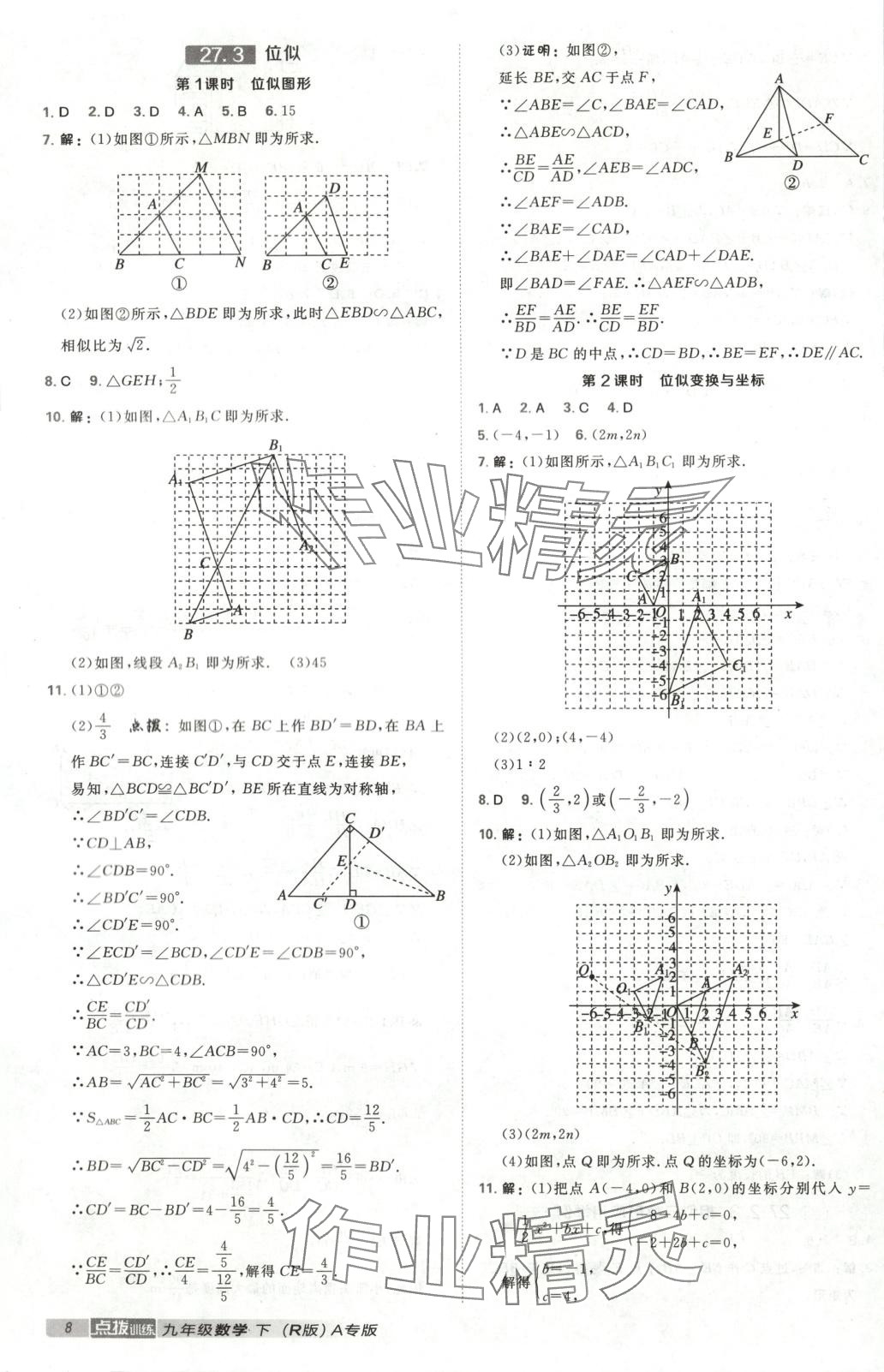 2025年點撥訓練九年級數學下冊人教版河北專版&nbsp;第8頁