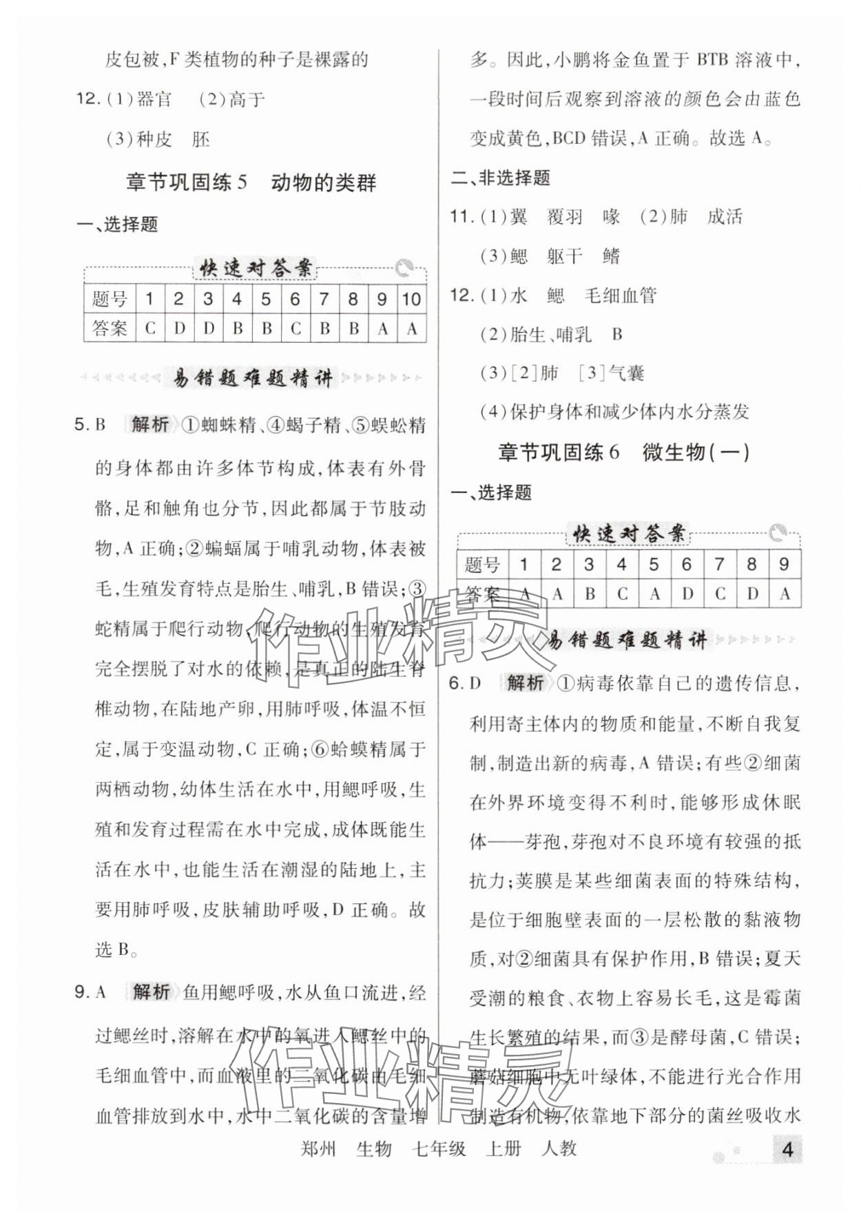 2024年期末考試必刷卷七年級生物上冊人教版鄭州專版 參考答案第4頁