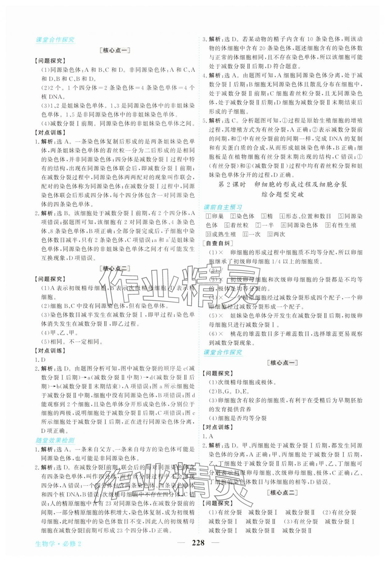 2025年新坐標同步練習高中生物必修2人教版 參考答案第7頁