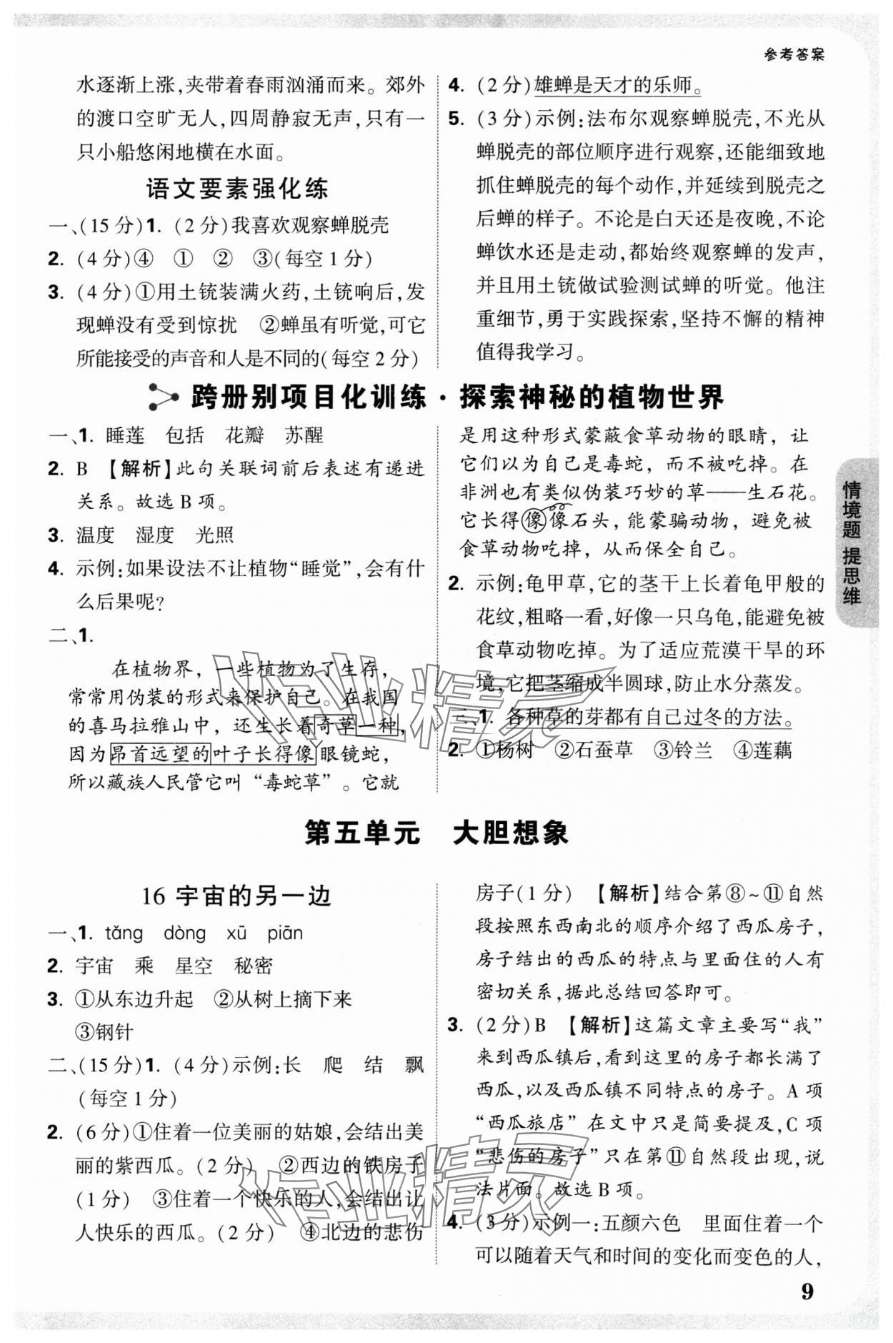 2025年情境题提思维三年级语文下册人教版 参考答案第9页