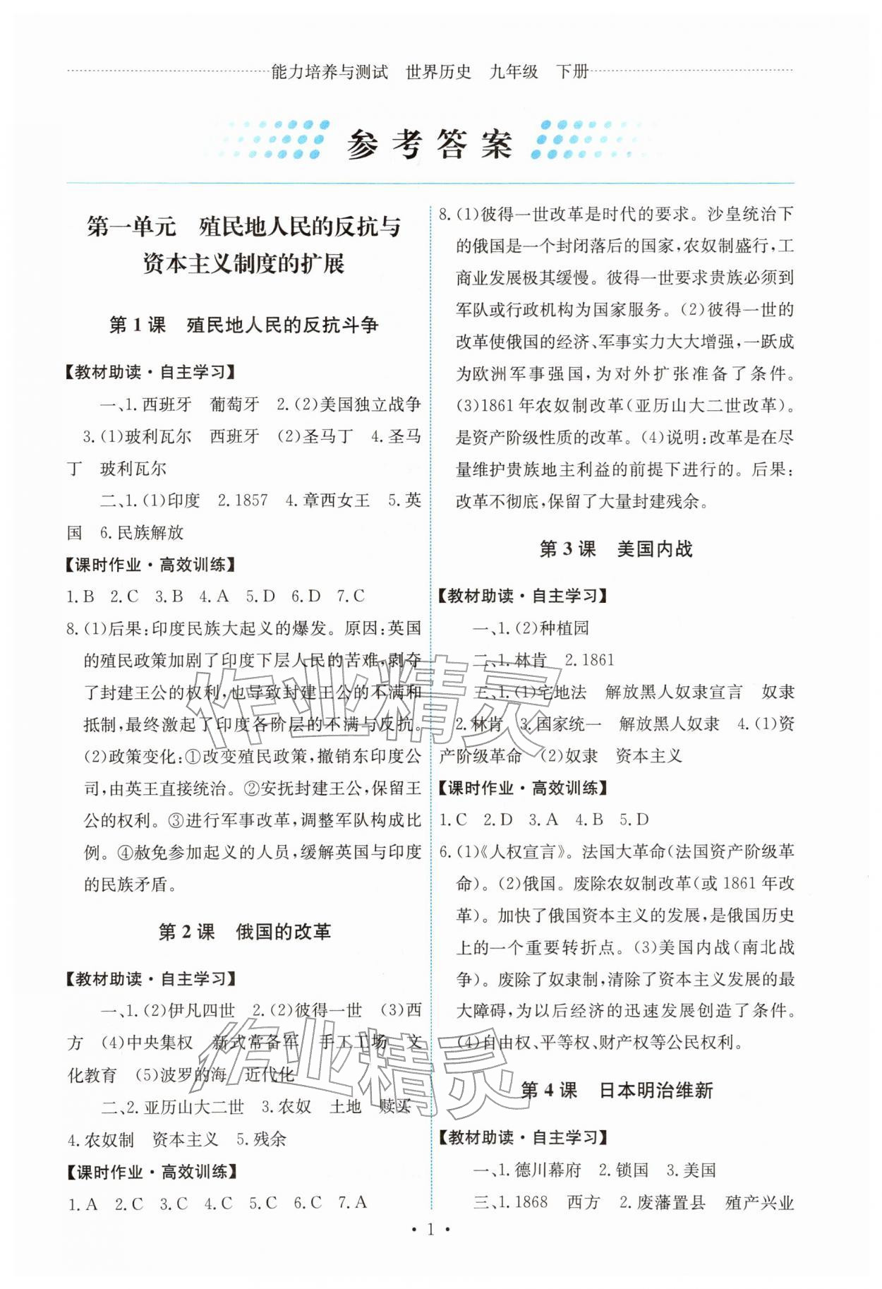 2026年能力培养与测试九年级世界历史下册人教版湖南专版&nbsp;第1页