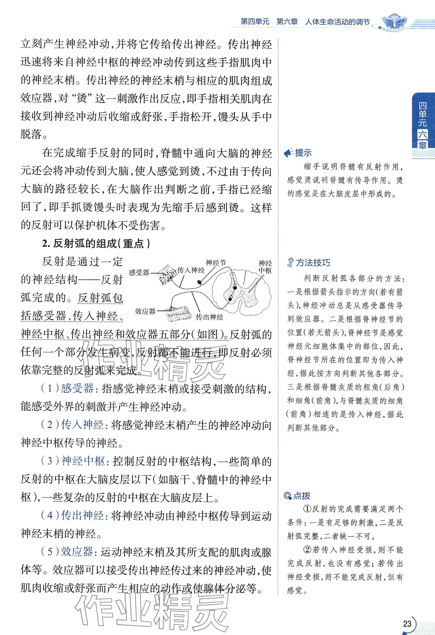 2024年教材课本七年级生物下册鲁科版&nbsp;第23页