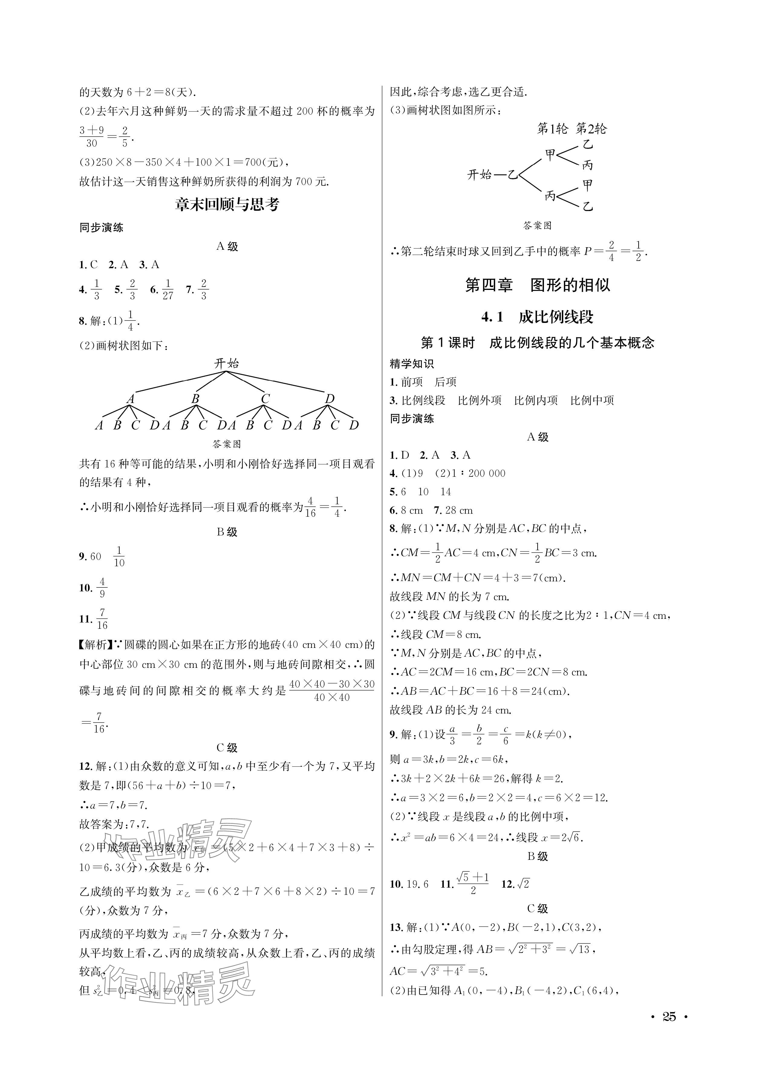 2024年蓉城学霸九年级数学全一册北师大版 参考答案第25页