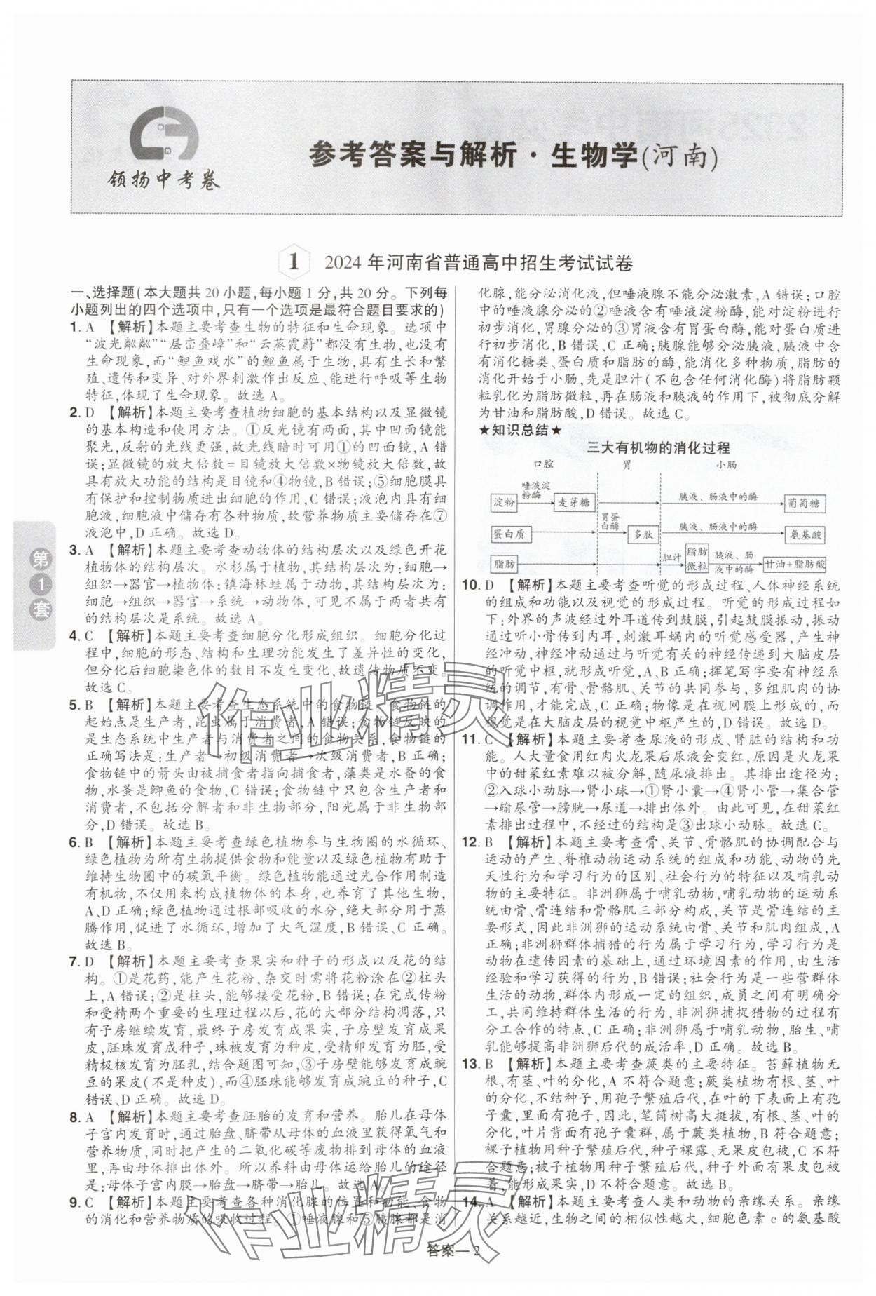 2025年領揚中考卷生物河南專版 參考答案第1頁