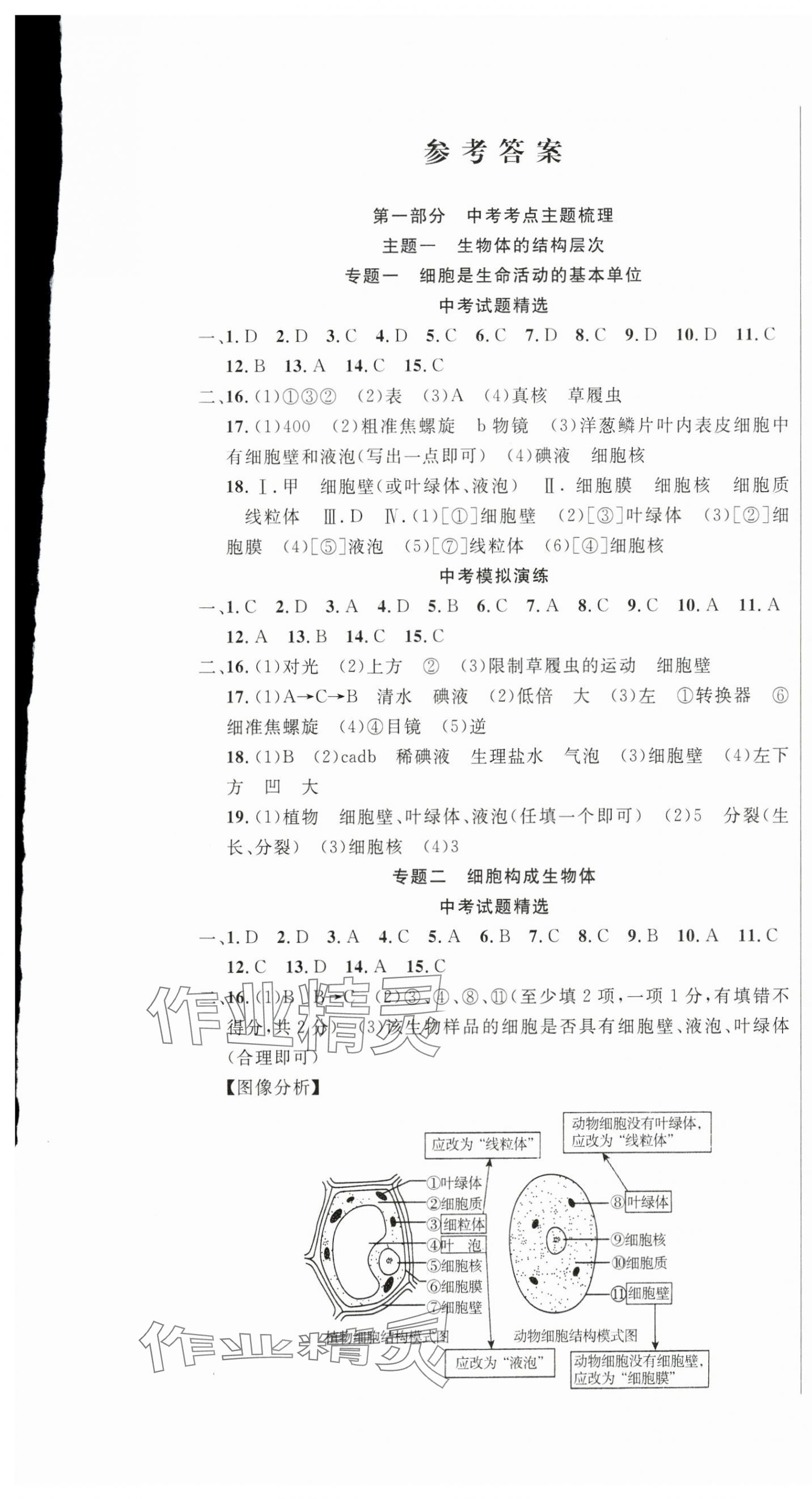 2025年海淀金卷中考总复习生物 第1页