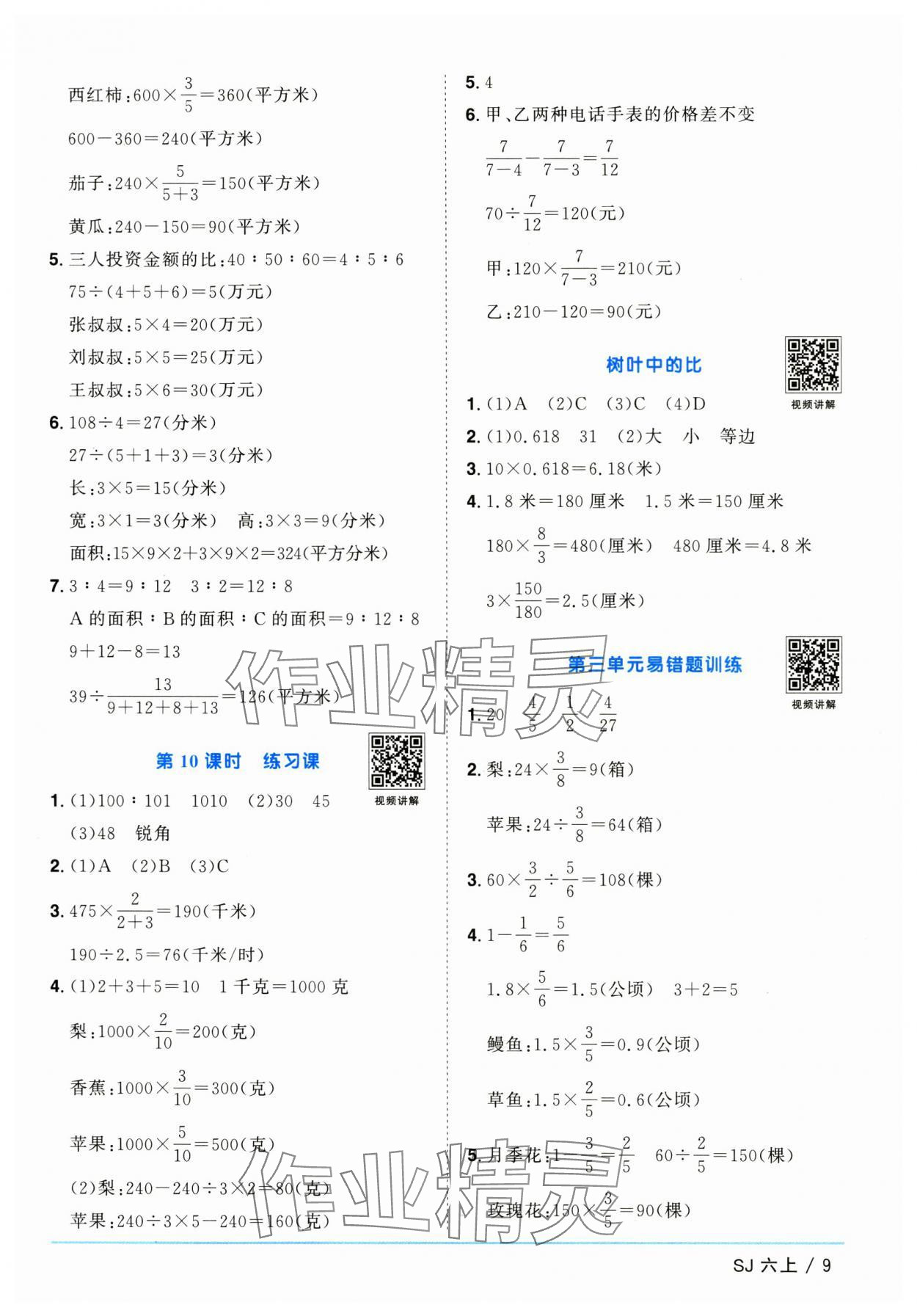 2025年陽光同學(xué)課時優(yōu)化作業(yè)六年級數(shù)學(xué)上冊蘇教版 第9頁