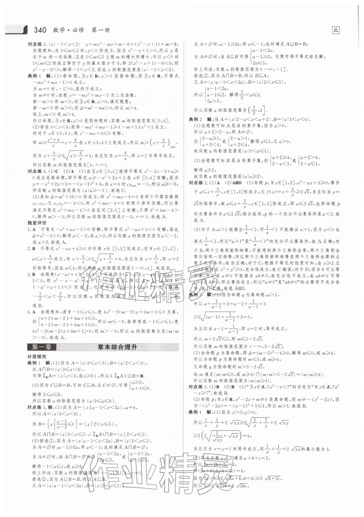 2025年金版新学案高中数学必修第一册北师大版 参考答案第13页