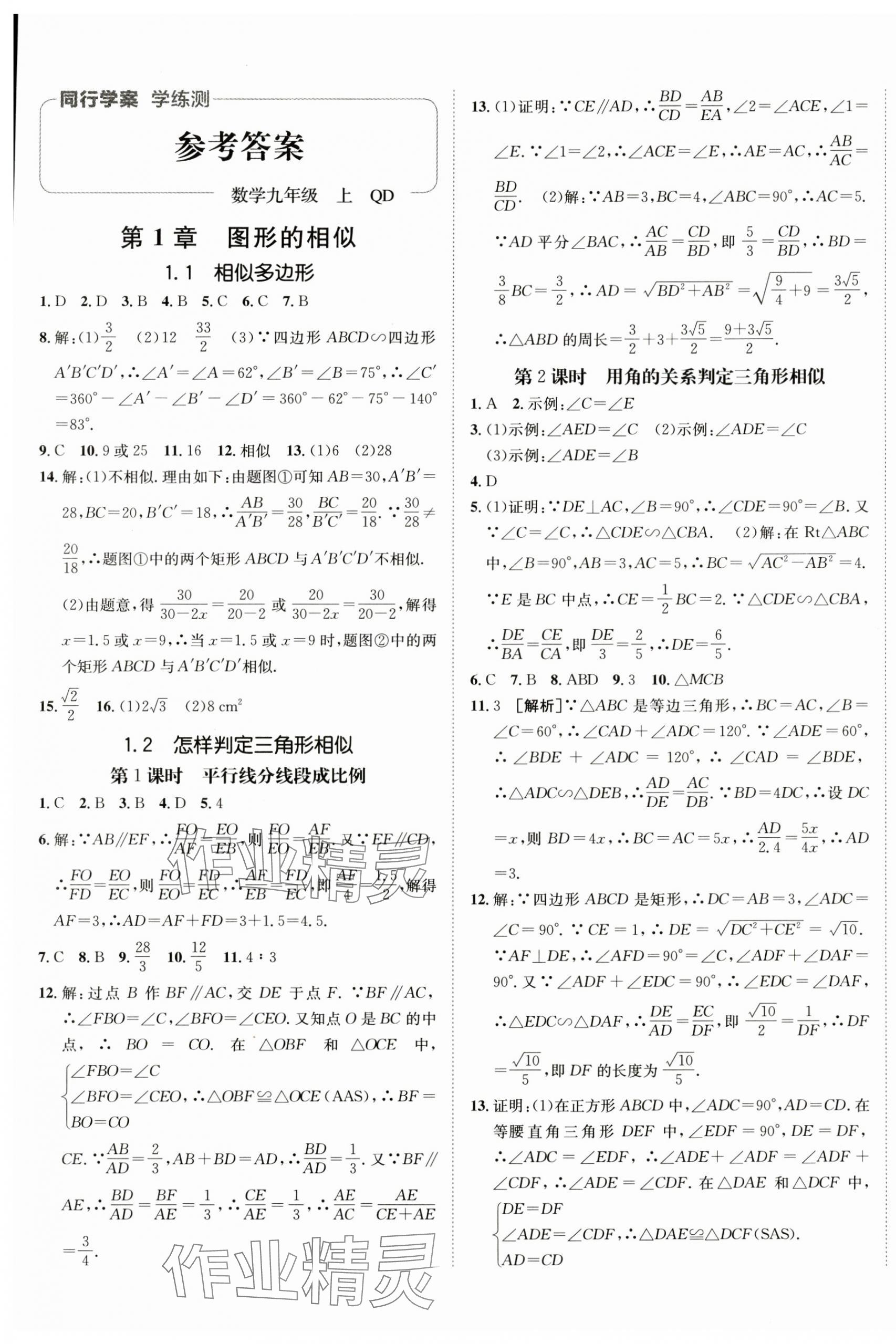 2024年同行學案九年級數學上冊青島版 第1頁