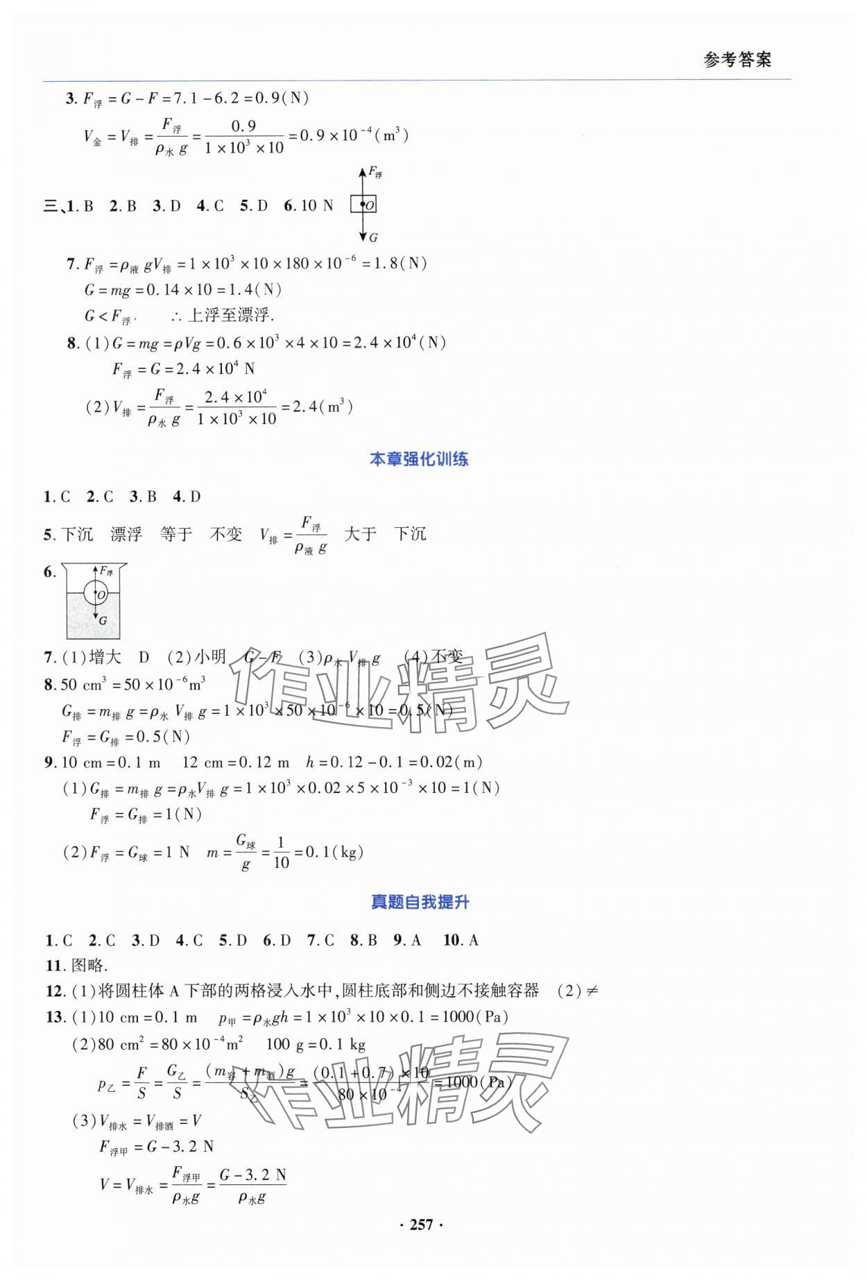 2025年初中畢業(yè)升學(xué)復(fù)習(xí)指導(dǎo)中考物理 第9頁