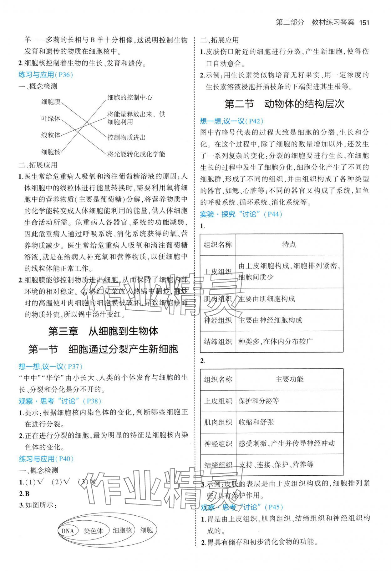 2024年教材課本七年級生物上冊人教版 參考答案第3頁