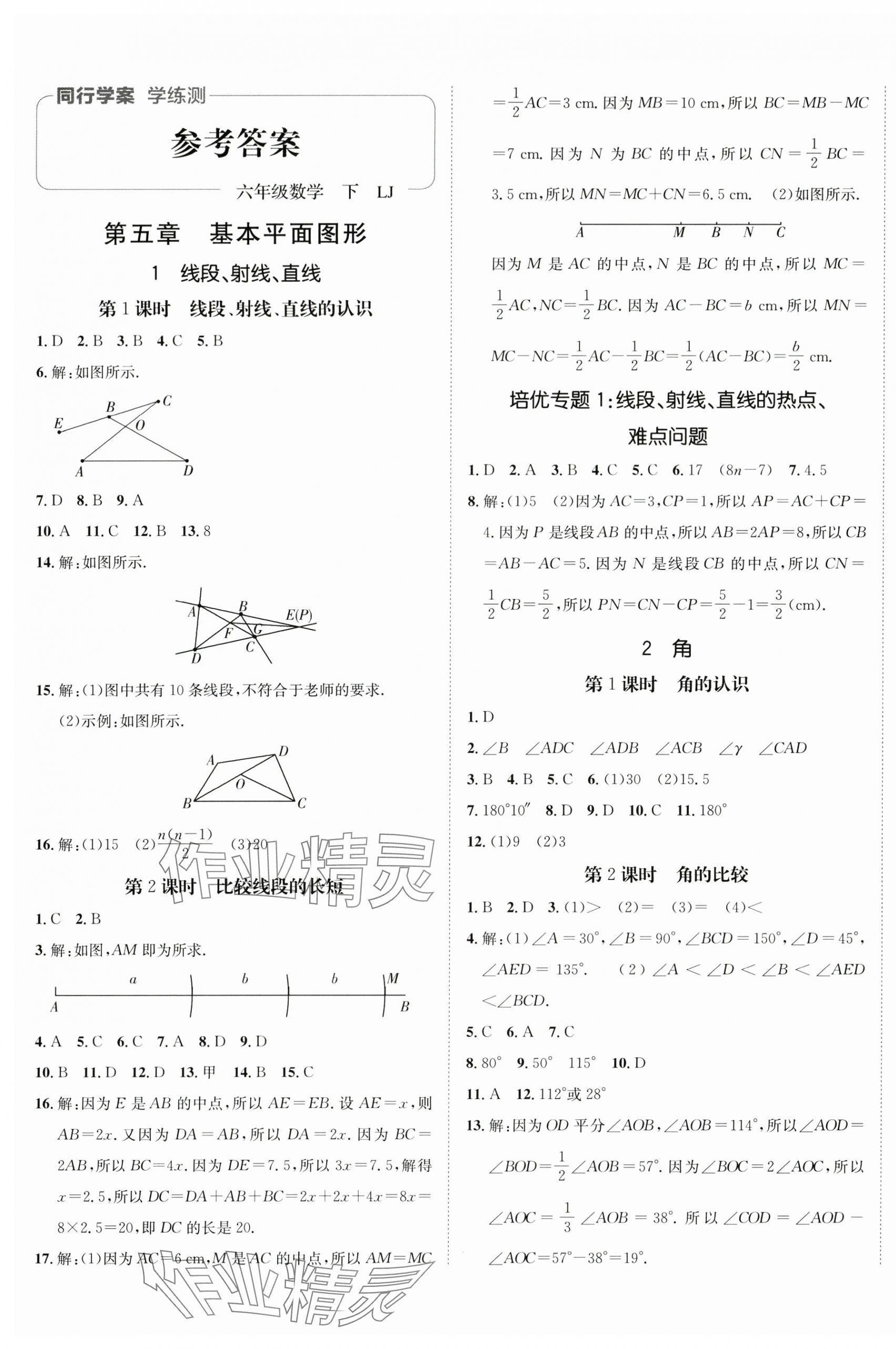 2025年同行学案学练测六年级数学下册鲁教版 第1页