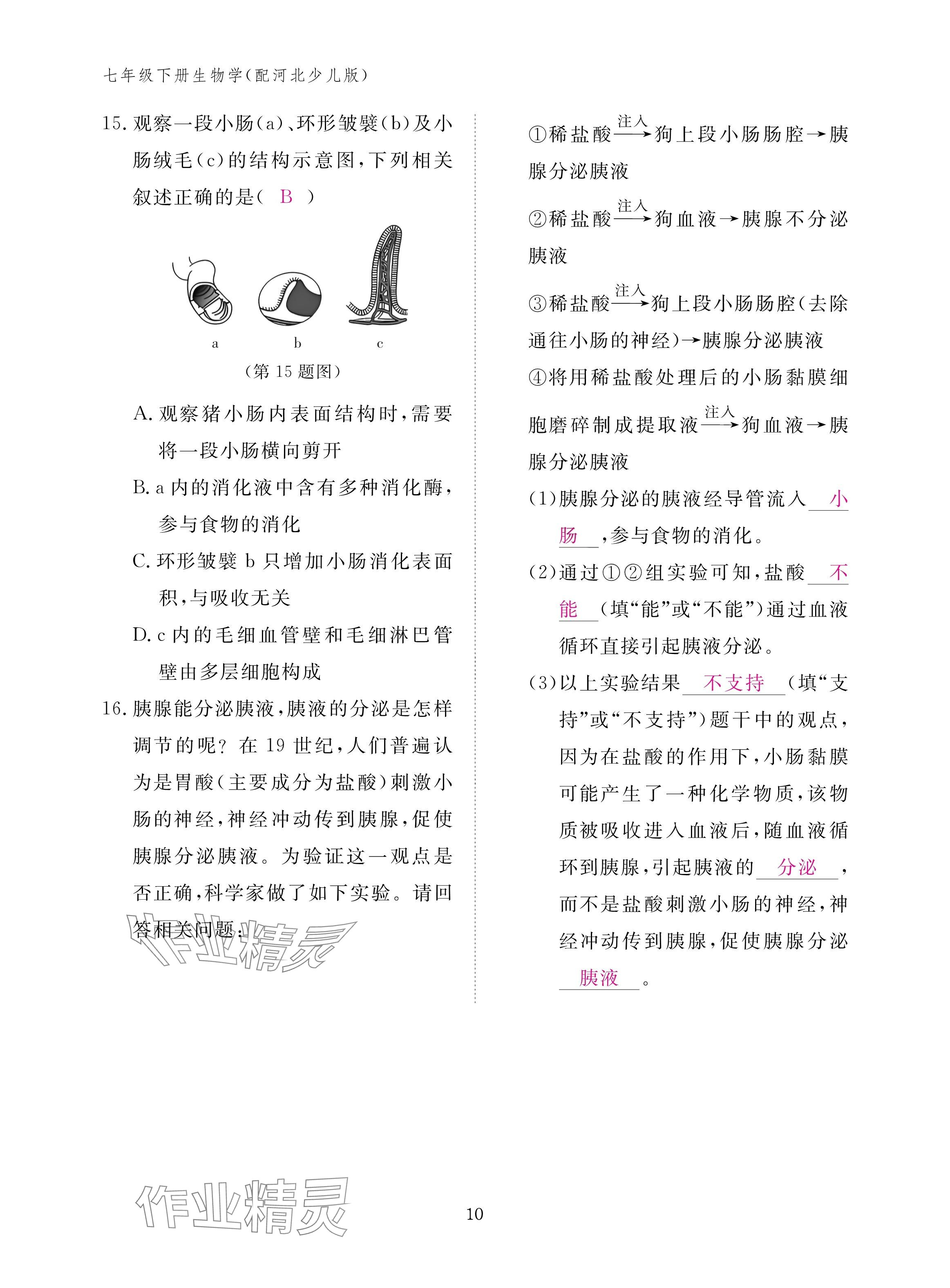 2025年作業(yè)本江西教育出版社七年級生物下冊冀少版 參考答案第10頁