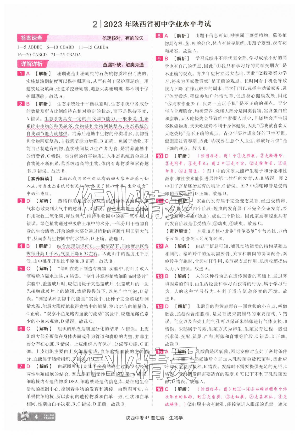 2025年金考卷45套匯編生物中考人教版陜西專版 參考答案第4頁