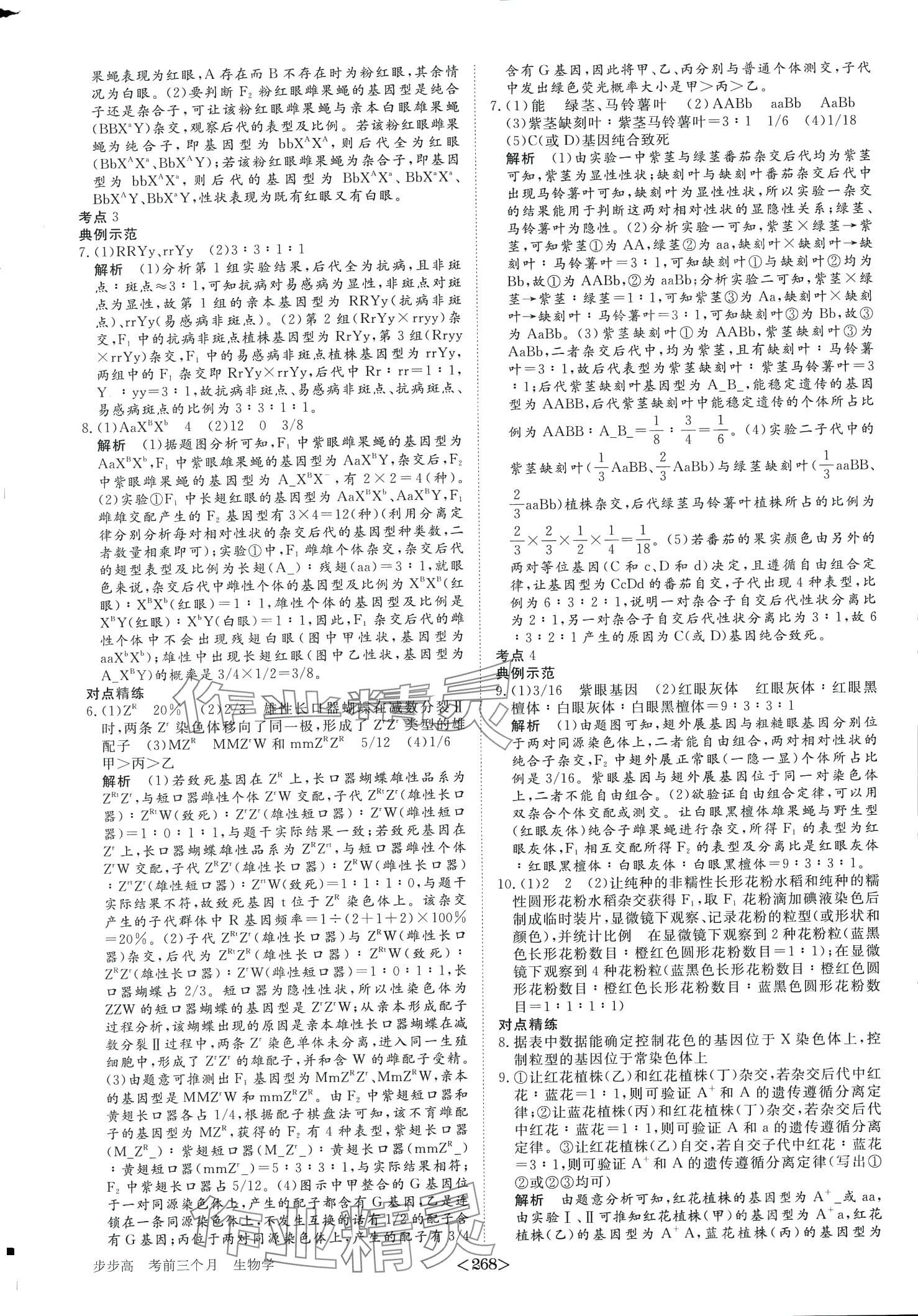 2024年步步高考前三個月二輪高中生物 第5頁