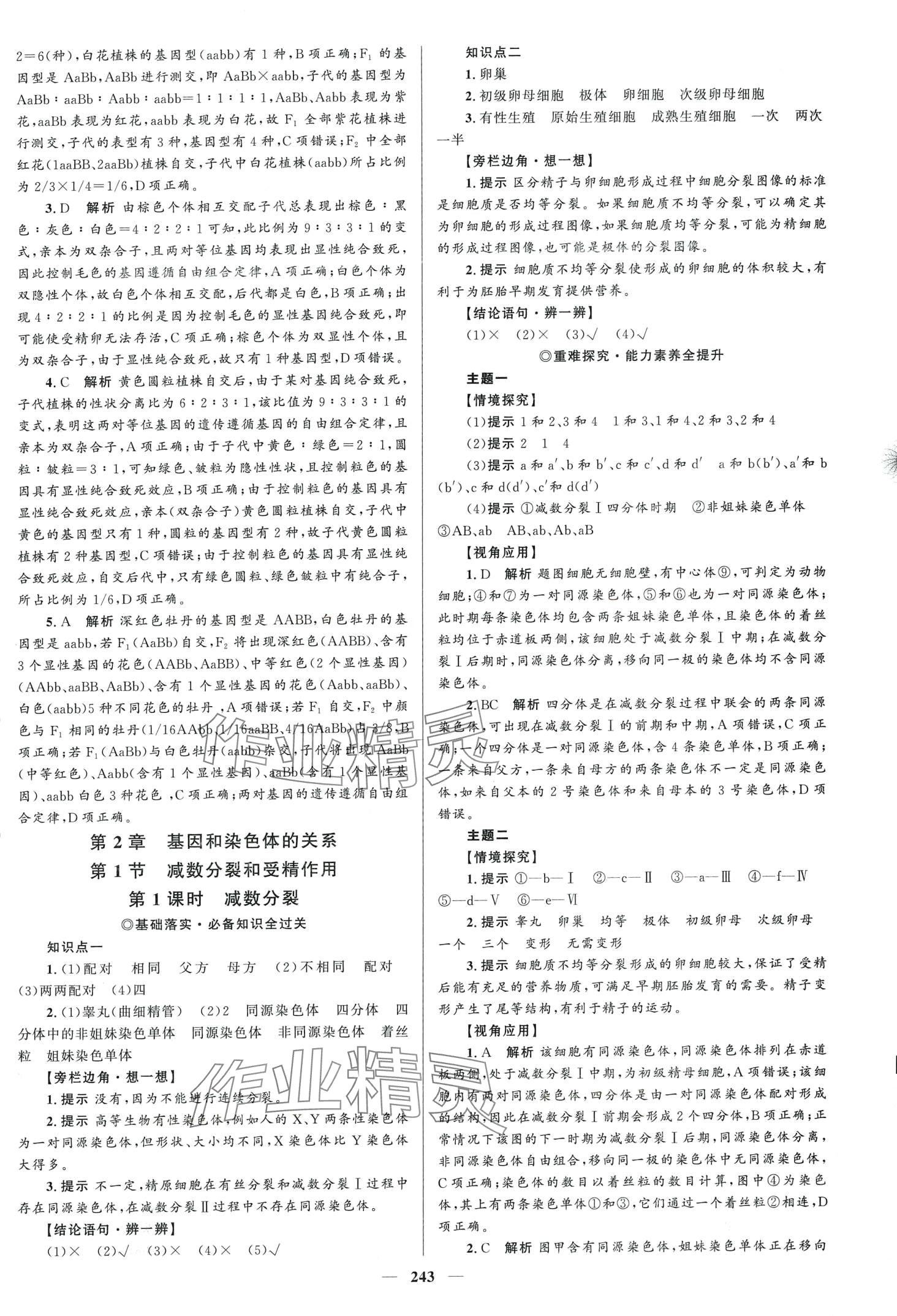 2024年高中同步學(xué)案優(yōu)化設(shè)計(jì)高中生物必修2人教版 第6頁