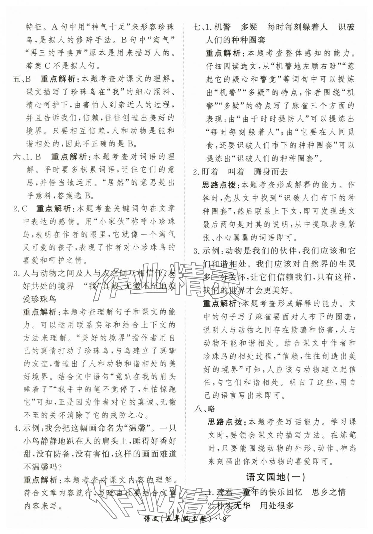 2025年黃岡360定制課時(shí)五年級(jí)語(yǔ)文上冊(cè)人教版 第9頁(yè)