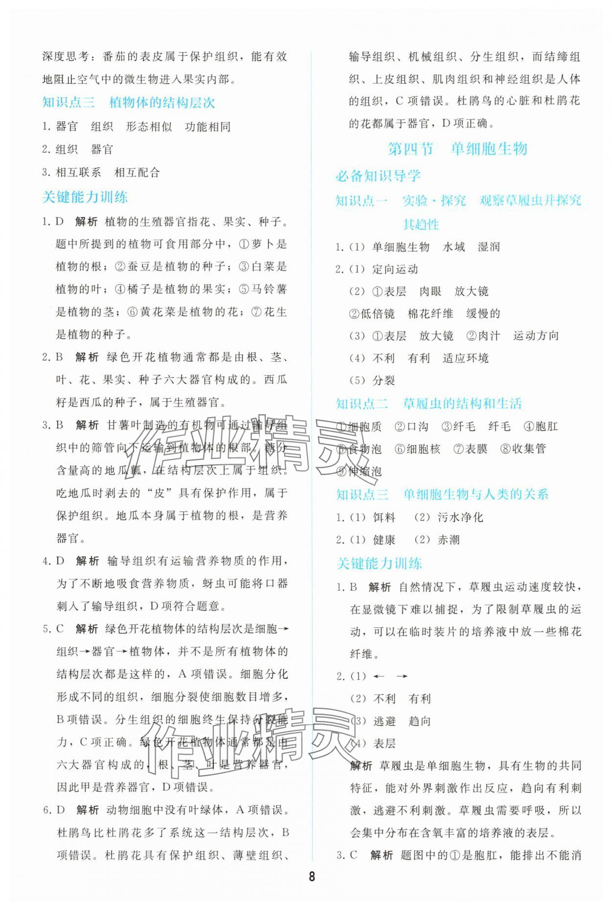 2025年同步轻松练习七年级生物上册人教版 参考答案第7页