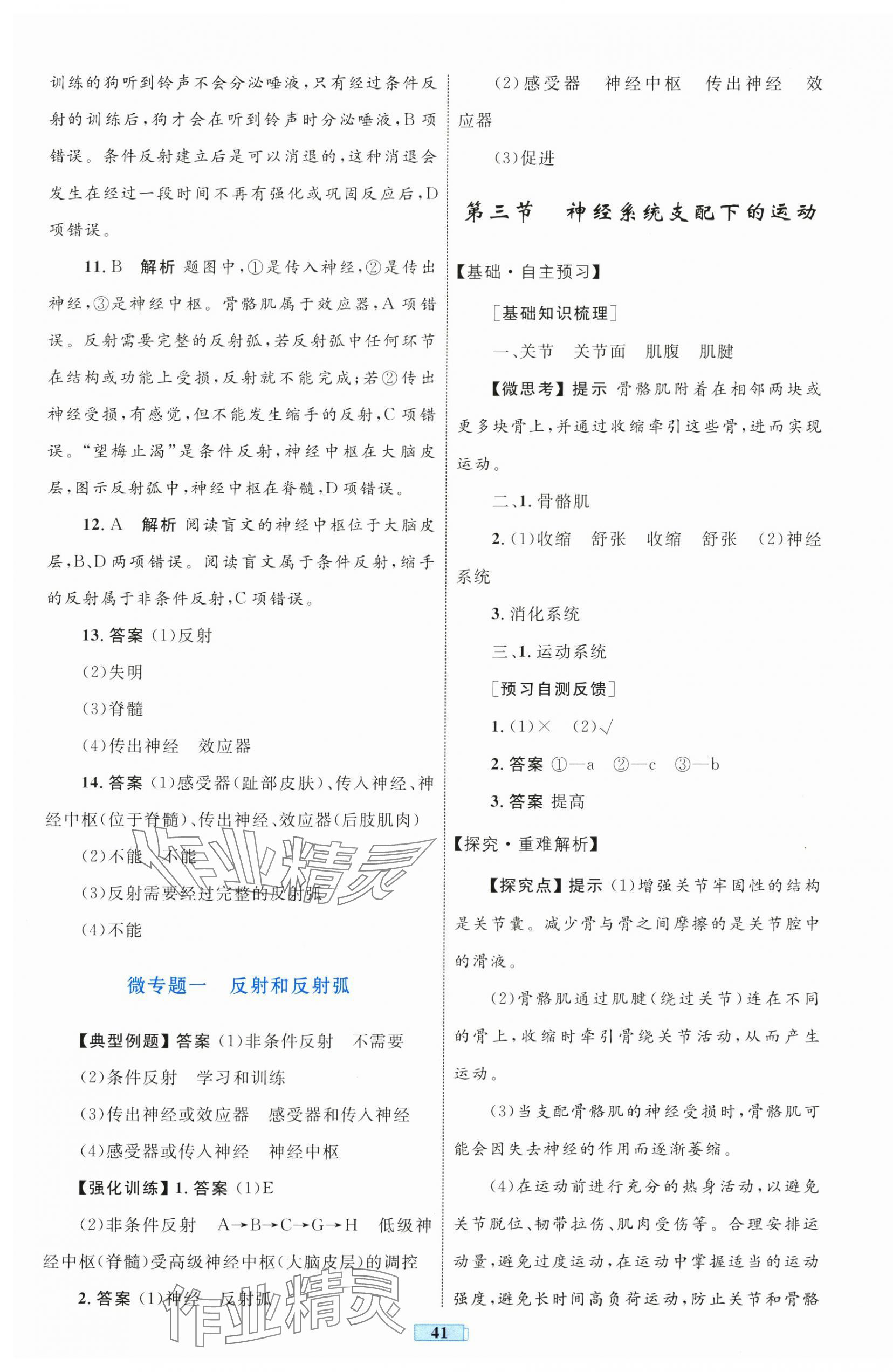 2025年同步學習目標與檢測八年級生物上冊人教版 第5頁