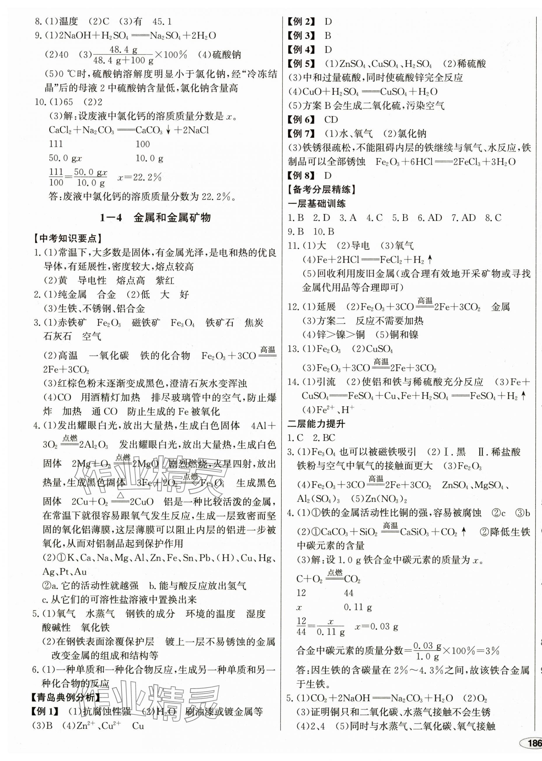 2025年中考檔案化學(xué)青島專版 第3頁