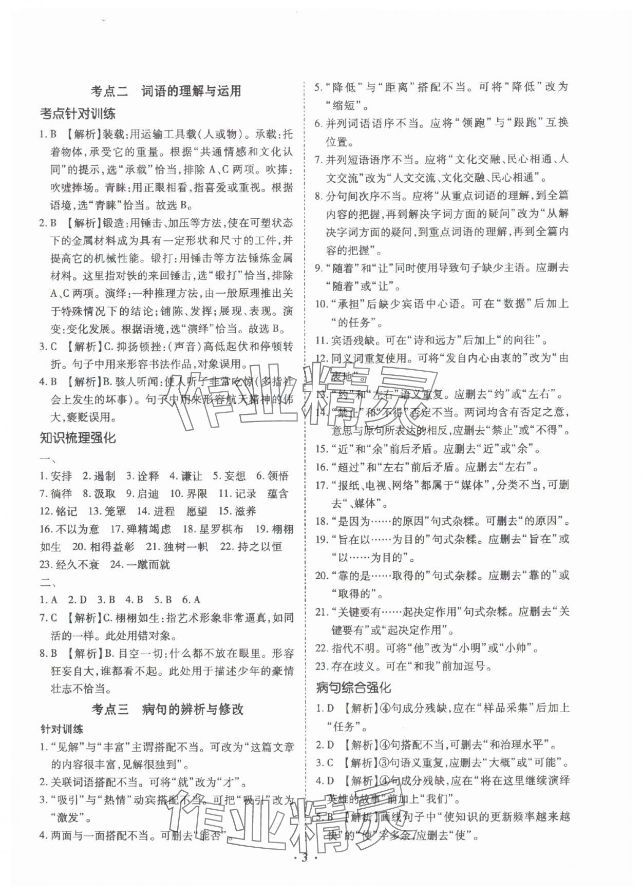 2025年本土攻略精準(zhǔn)復(fù)習(xí)方案語(yǔ)文云南專(zhuān)版 參考答案第3頁(yè)