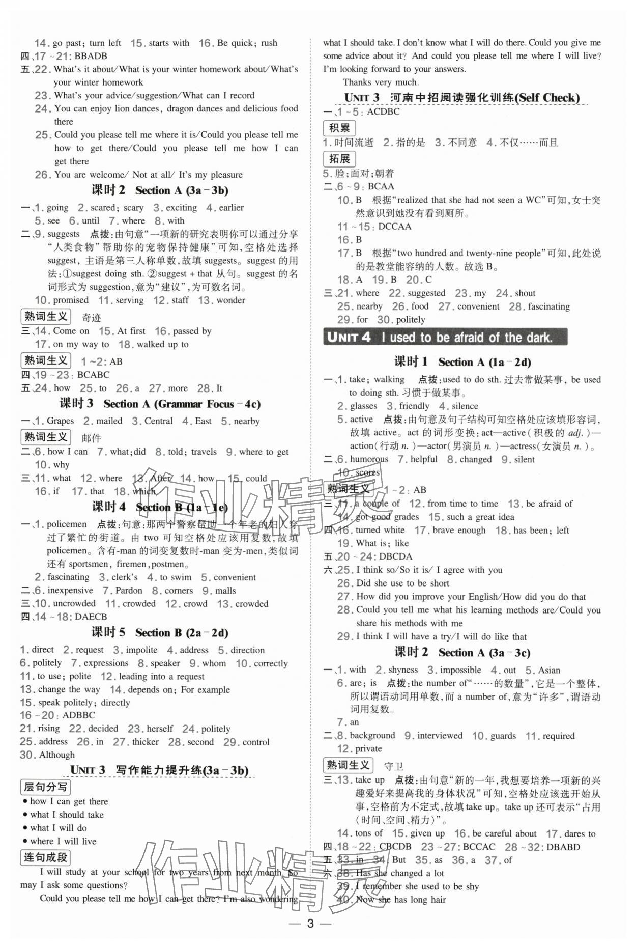 2025年点拨训练九年级英语全一册人教版河南专版 第3页