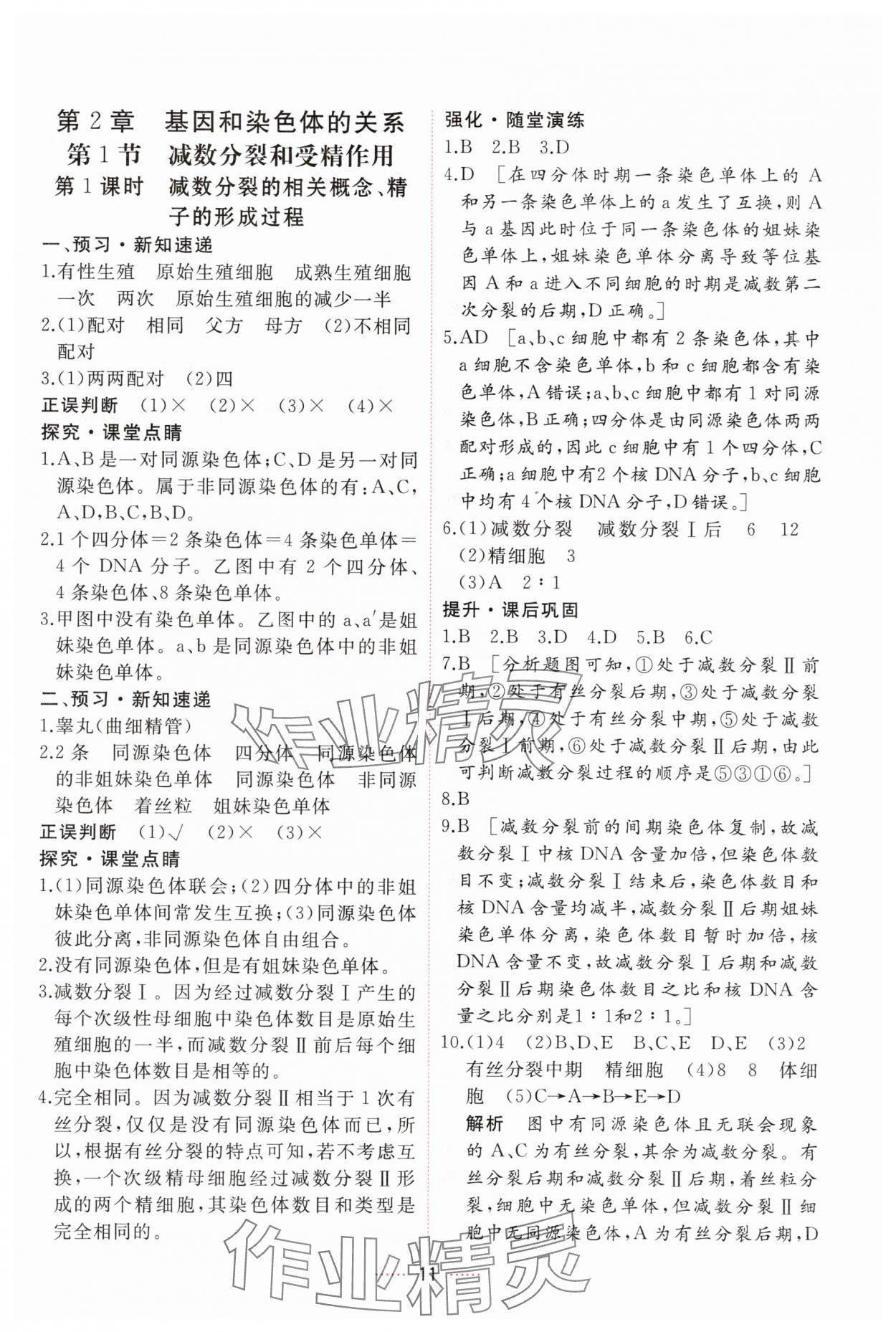 2025年三維隨堂精練高中生物必修2人教版 第11頁