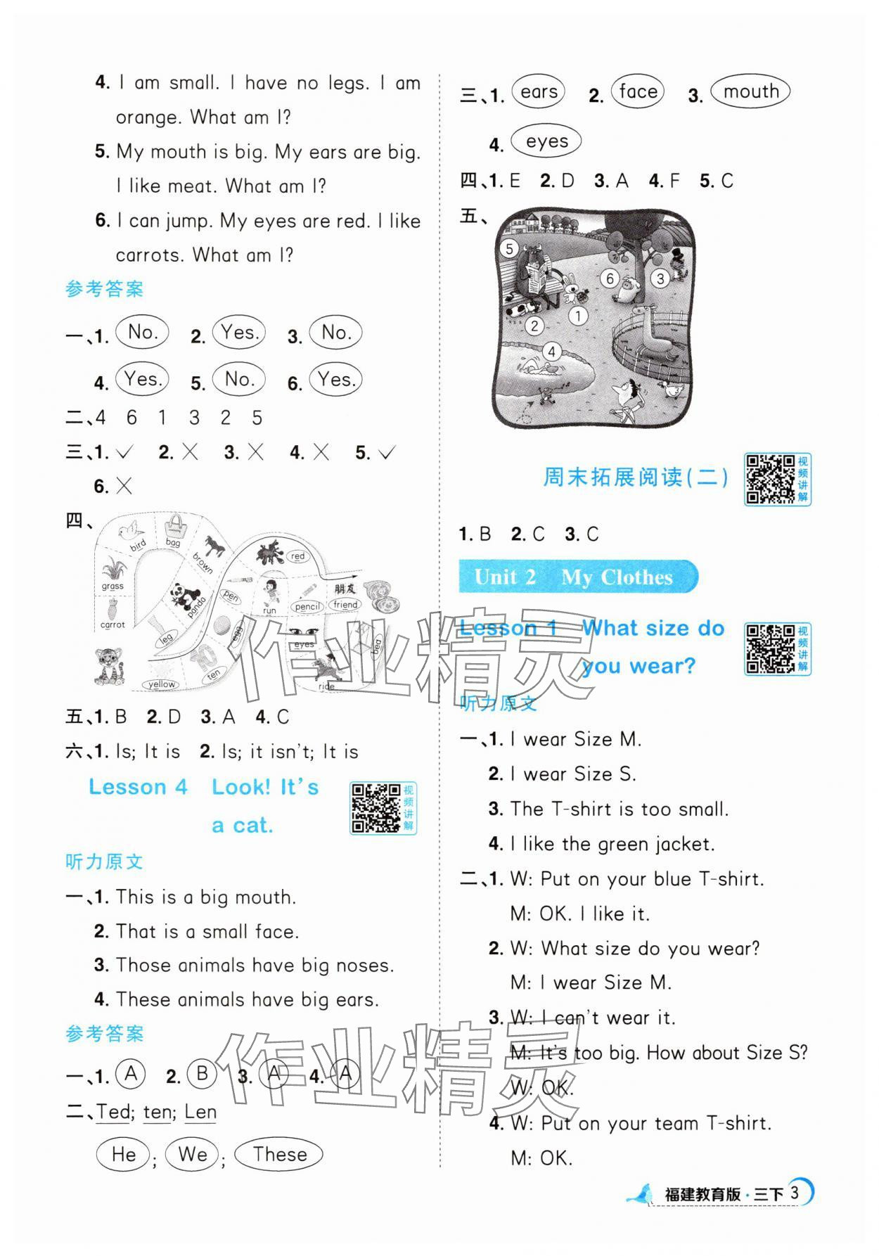 2025年阳光同学课时优化作业三年级英语下册闽教版福建专版&nbsp;第3页